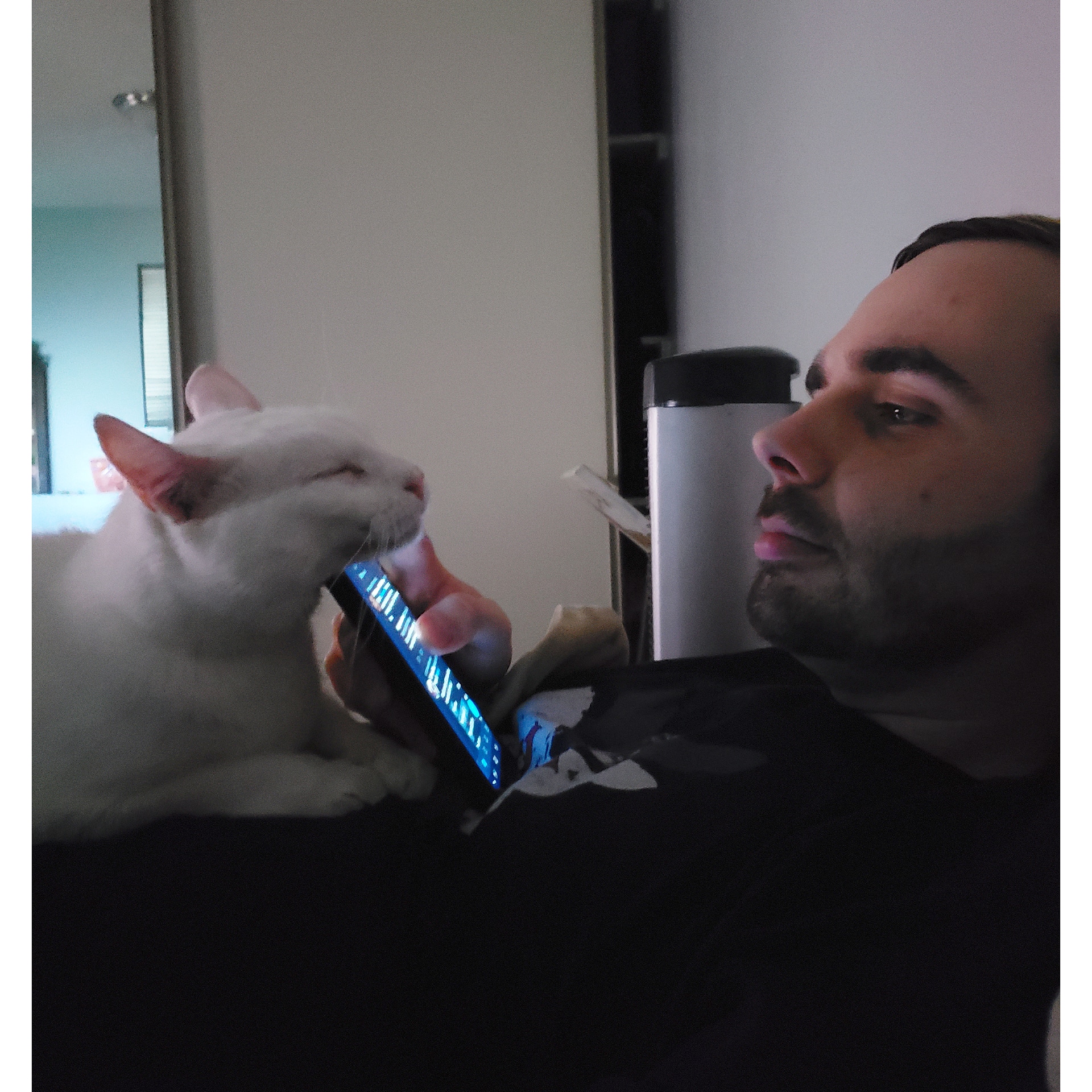 My cat loves my boyfriend more than he loves me r/aww