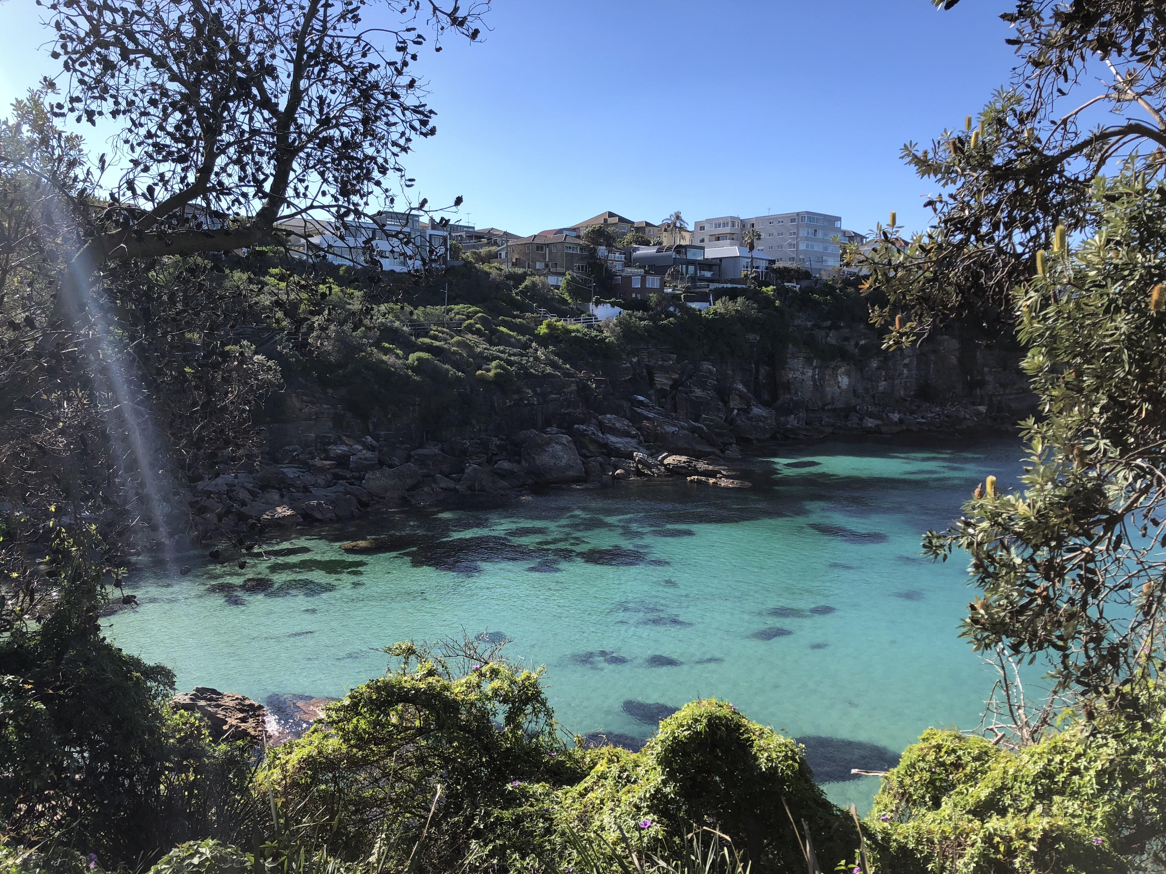 Gordon’s bay; incredible there is a place like this in a major city r