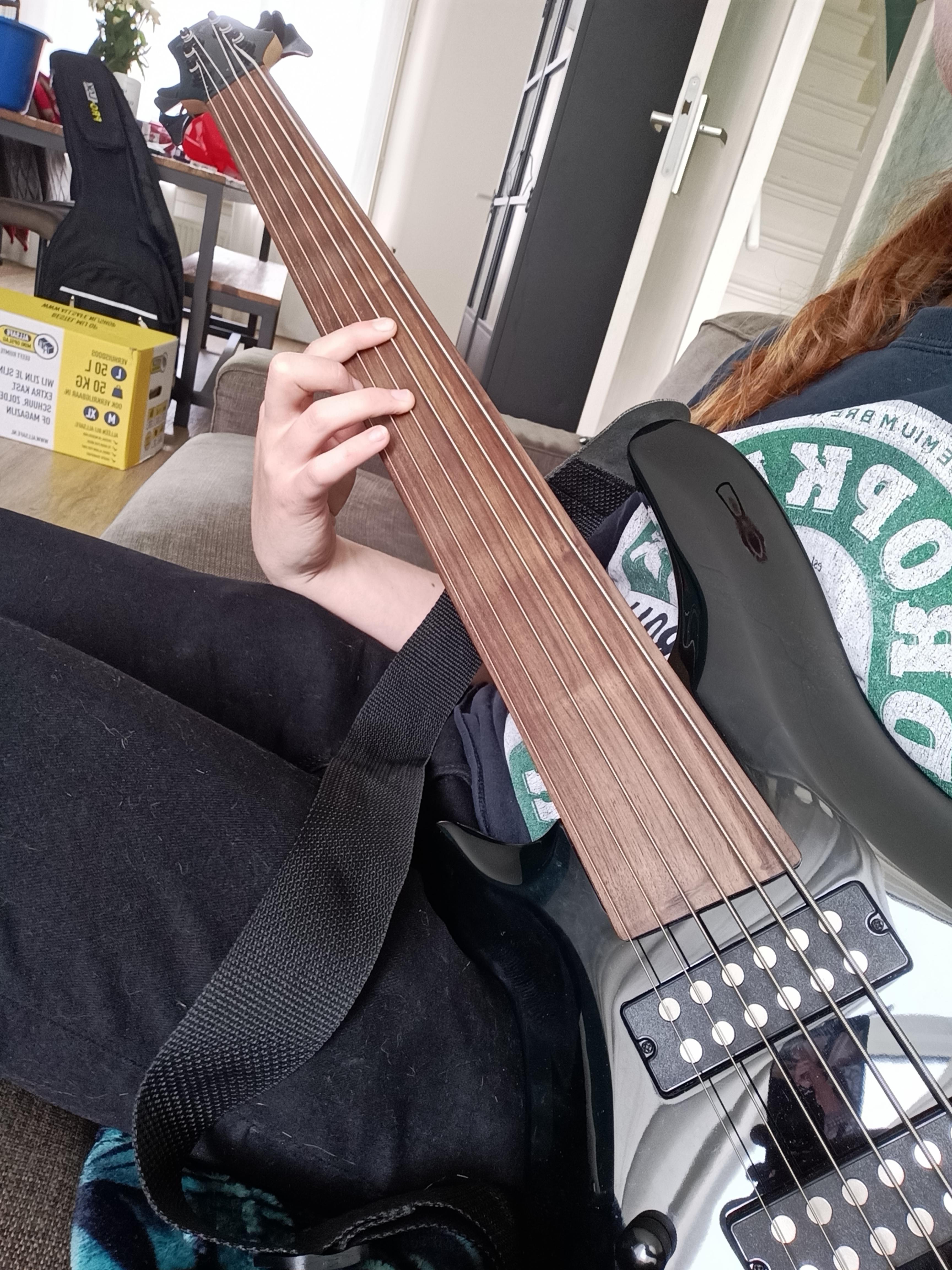 Best Fretless Bass Posts Reddit