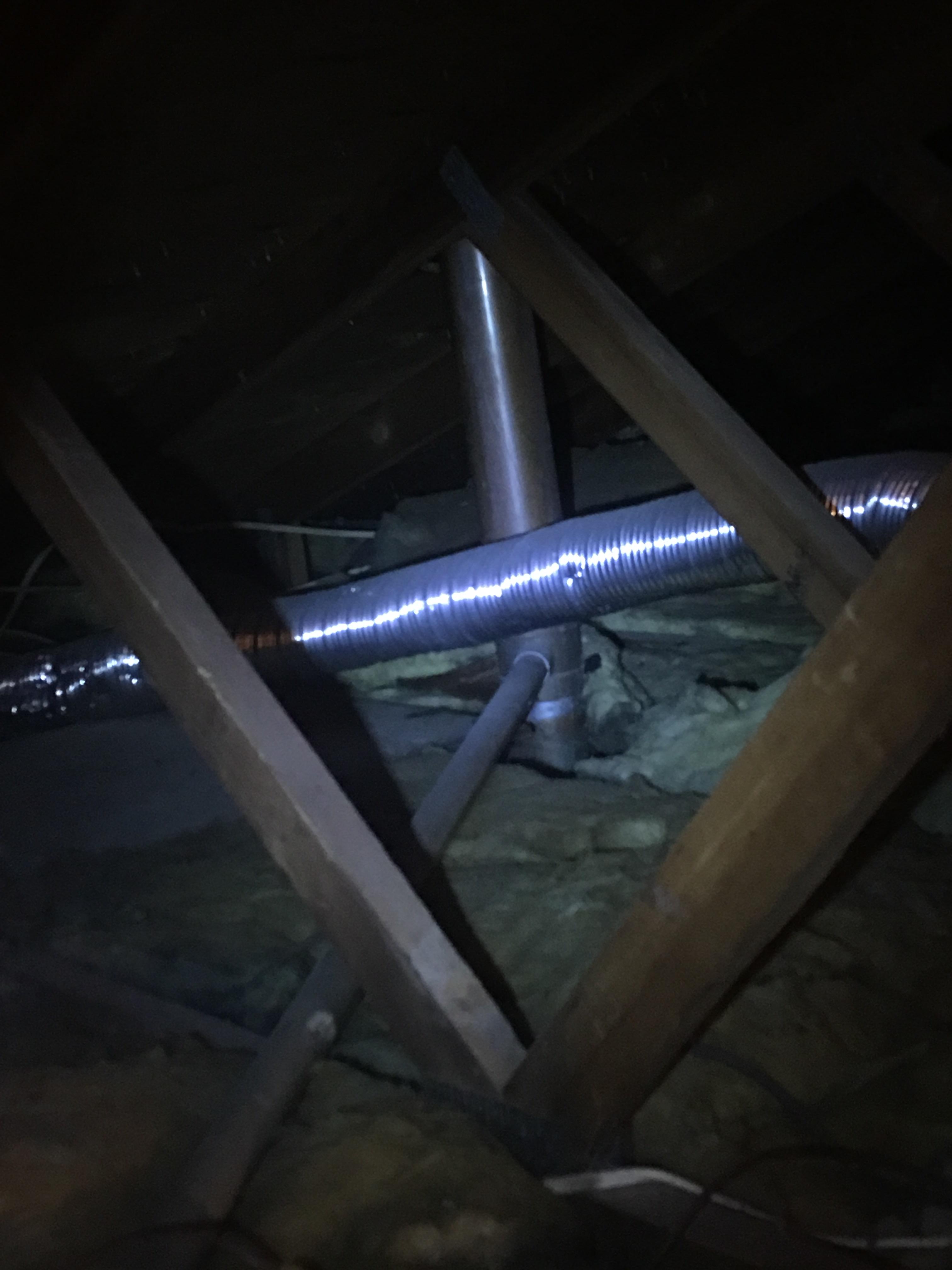 What is this copper tubing / vent in my attic. r/whatisthisthing