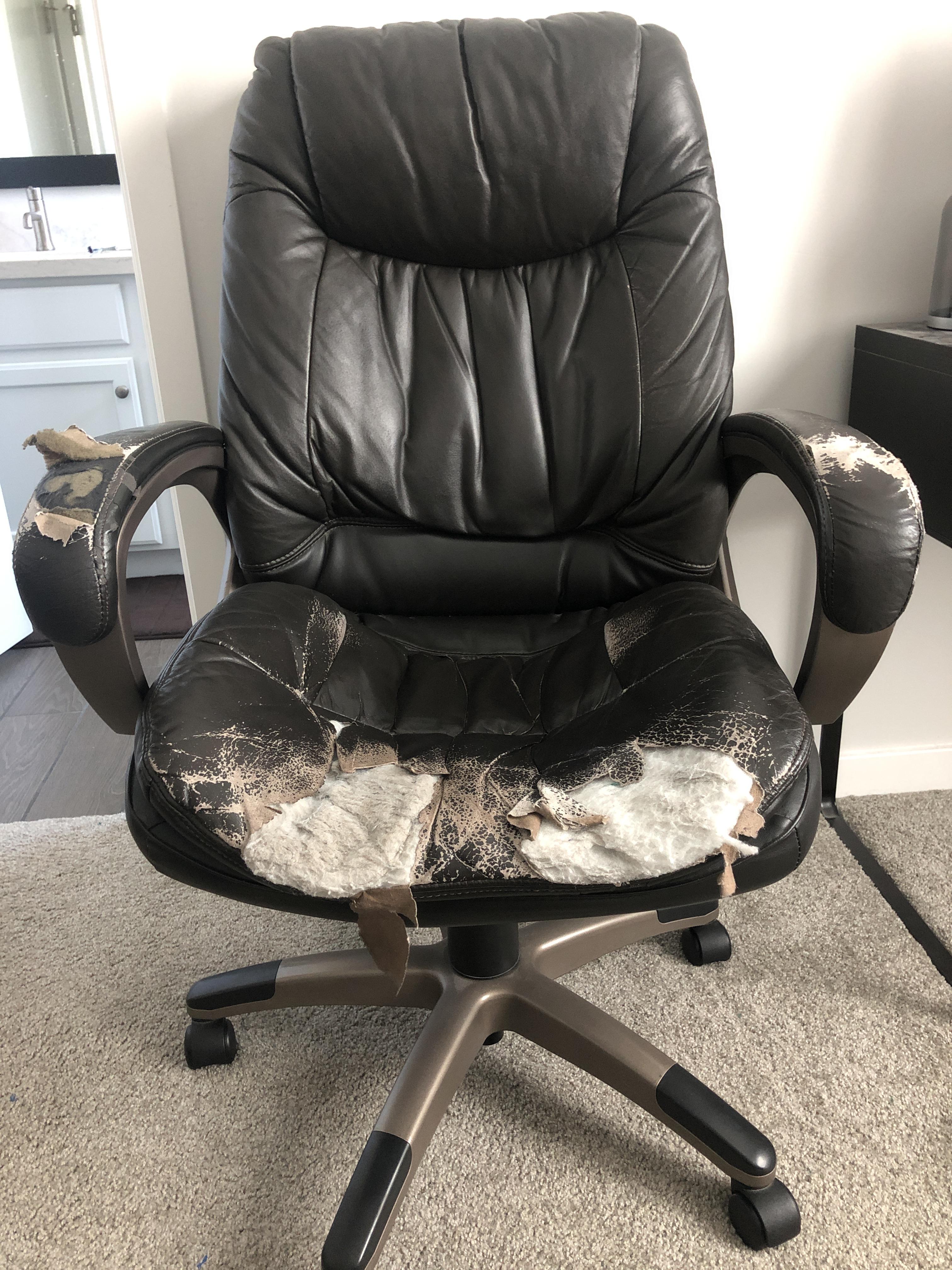 Hey chat do you think it’s time for a new chair? xqcow