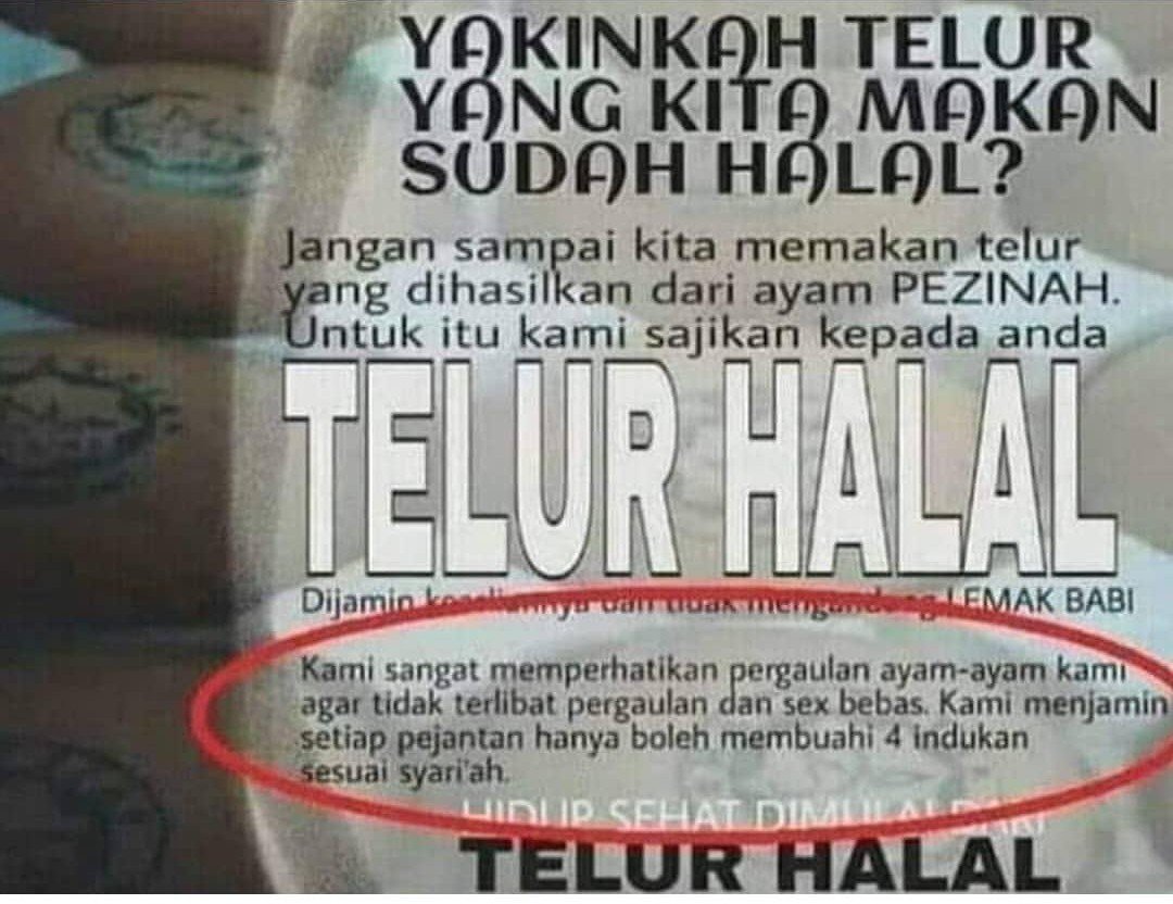 Very halal indeed indonesia