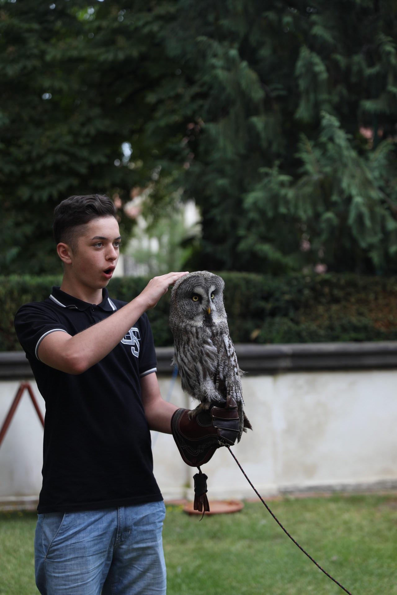 This kid was appropriately excited to pet the owl. r/pics