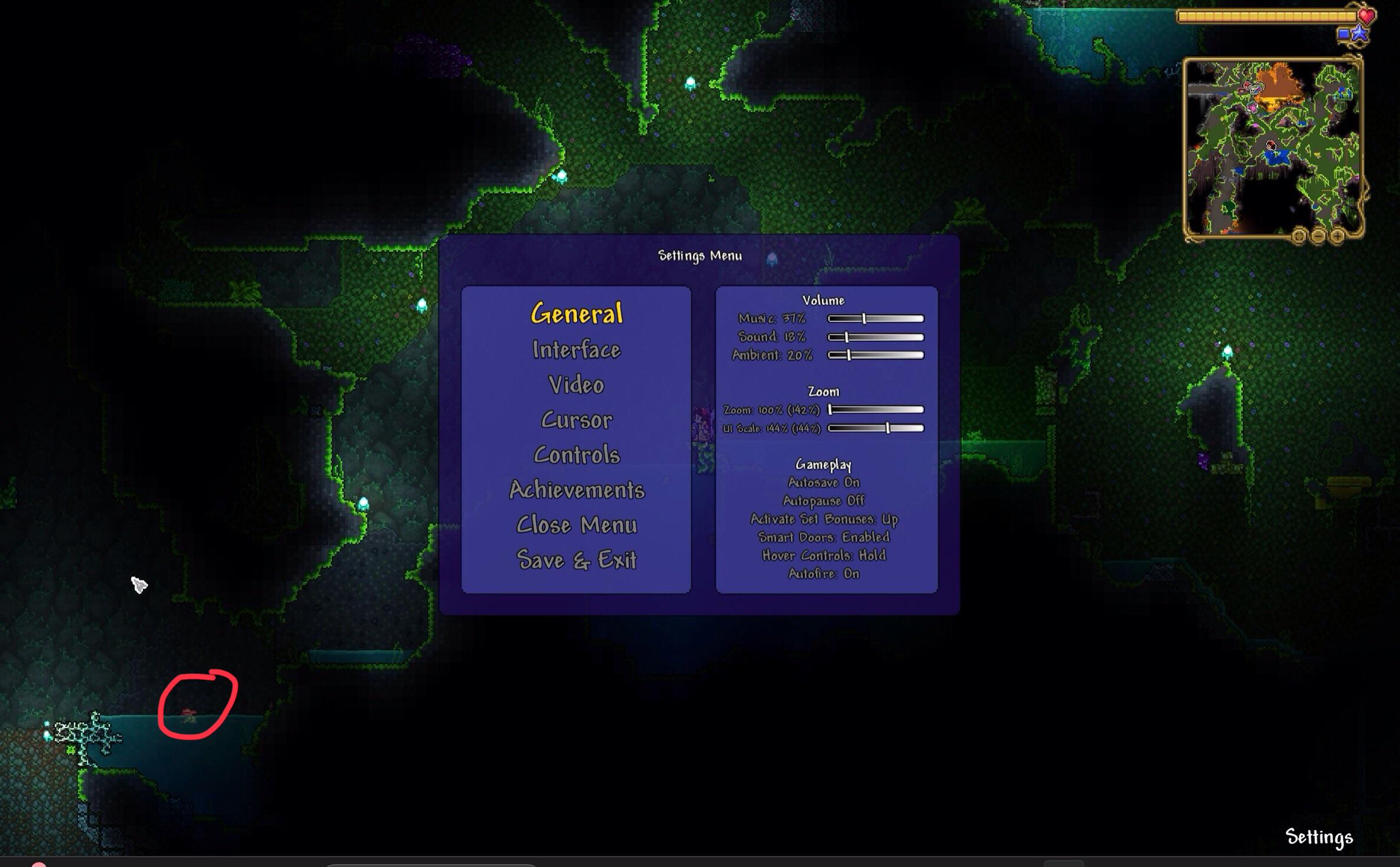 ARE YOU KIDDING ME?! I accidentally found the Mystic Frog right as I