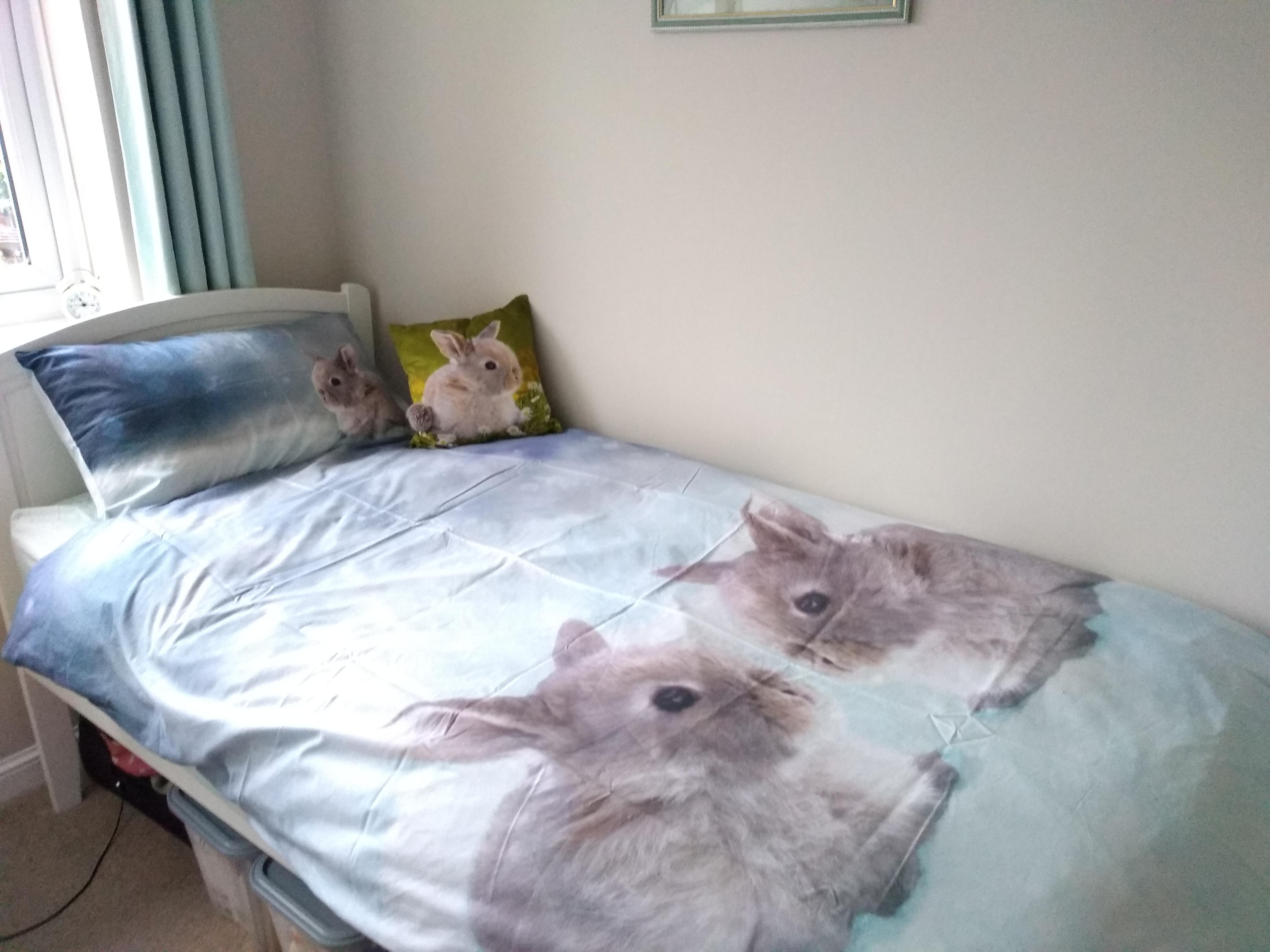 Very cute baby Netherland dwarf bedding + cushion 😍 r/Rabbits