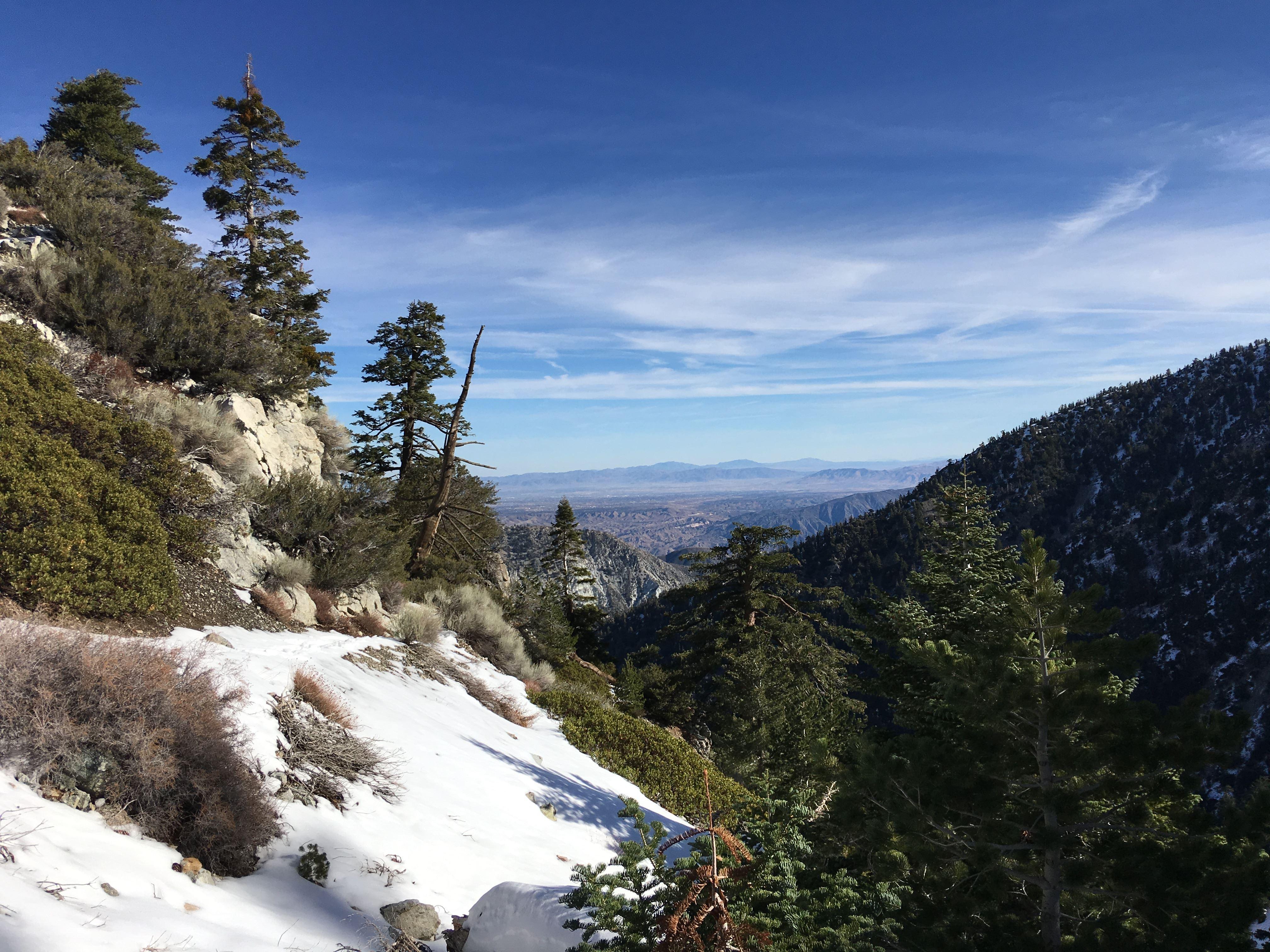 Made it up Cucamonga Peak last Saturday and got to play in some snow