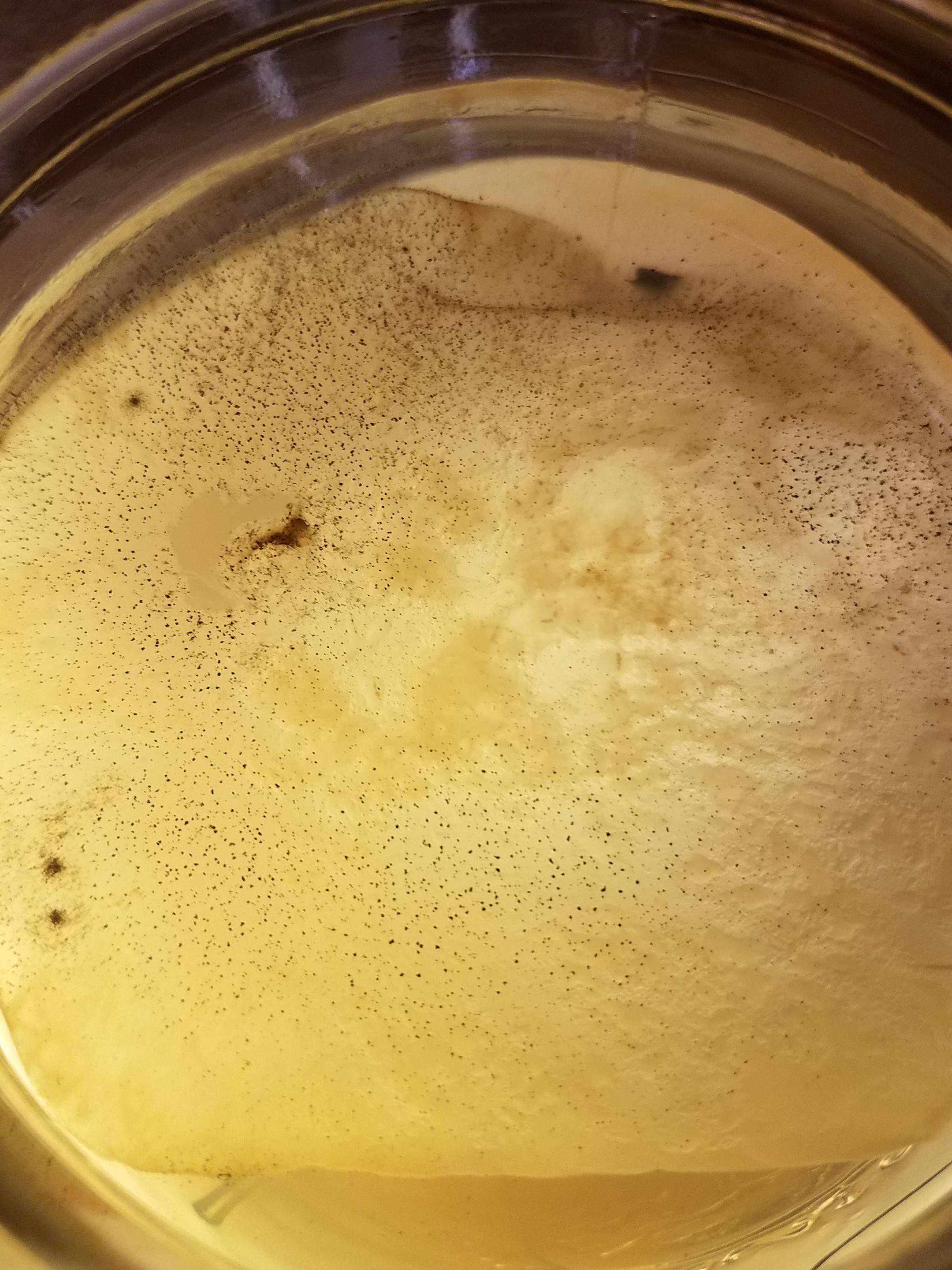 Tiny black specks on top of pellicle. Mold? Almost invisible when not
