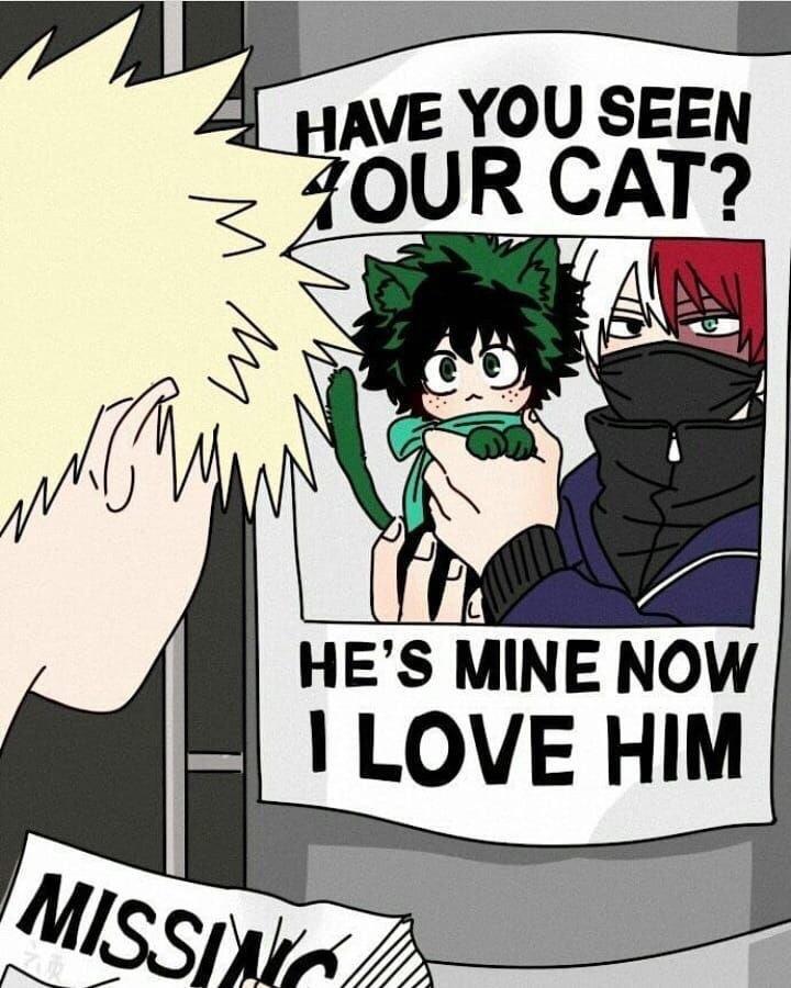 Sorry bakugou Deku x Shoto Animemes