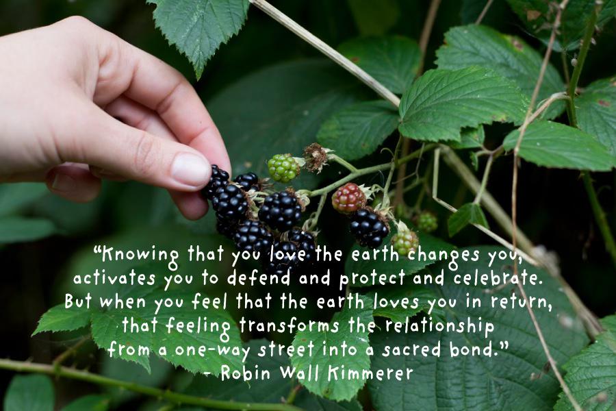 A Quote From Robin Wall Kimmerer’s Braiding Sweetgrass ecology