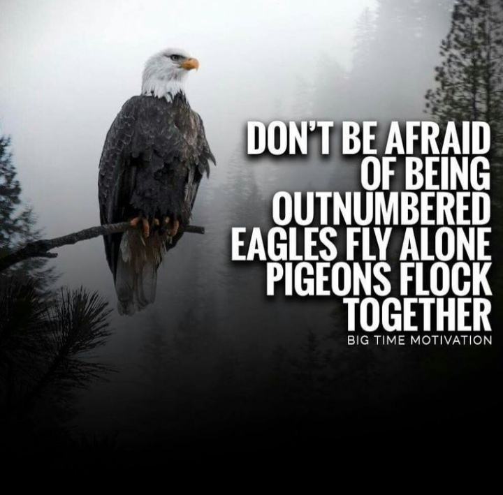 Don't be Afraid of being Outnumbered, Eagles fly Alone, Pigeons flock