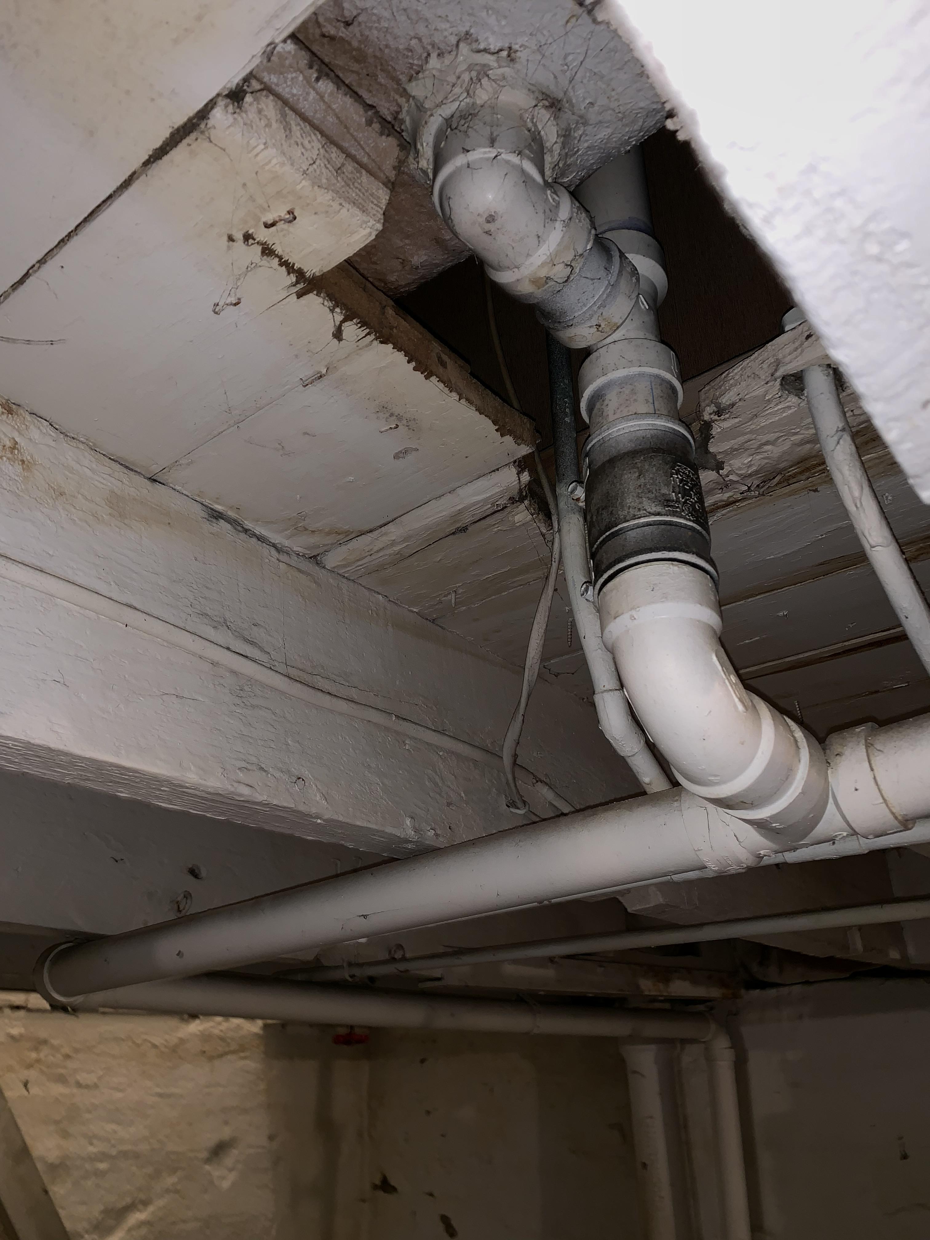 No ptrap? I’m confused. I bought a 100 year old home and renovated it