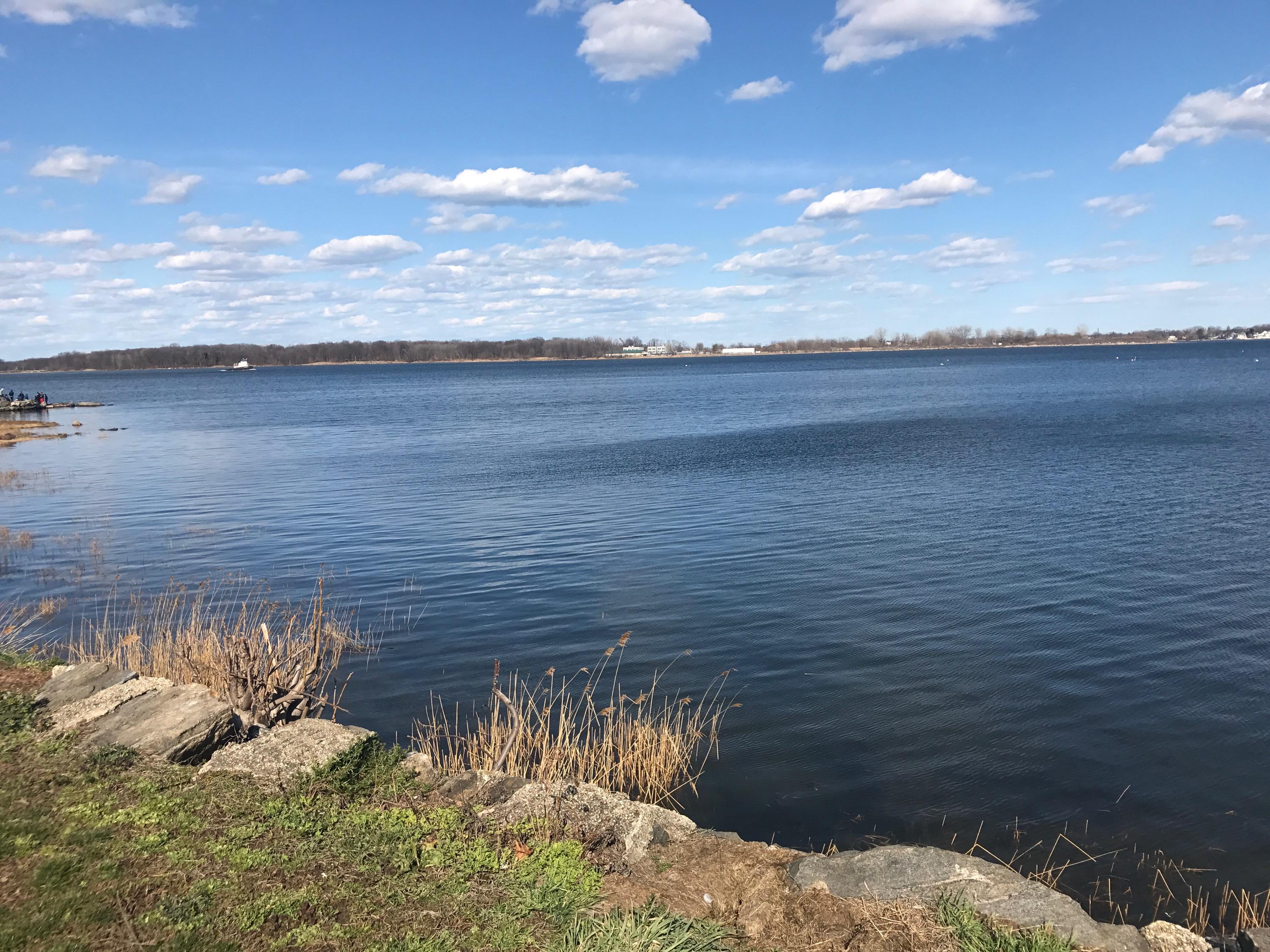 Bay Shore Ave in the Bronx (AKA my favorite place) r/nyc