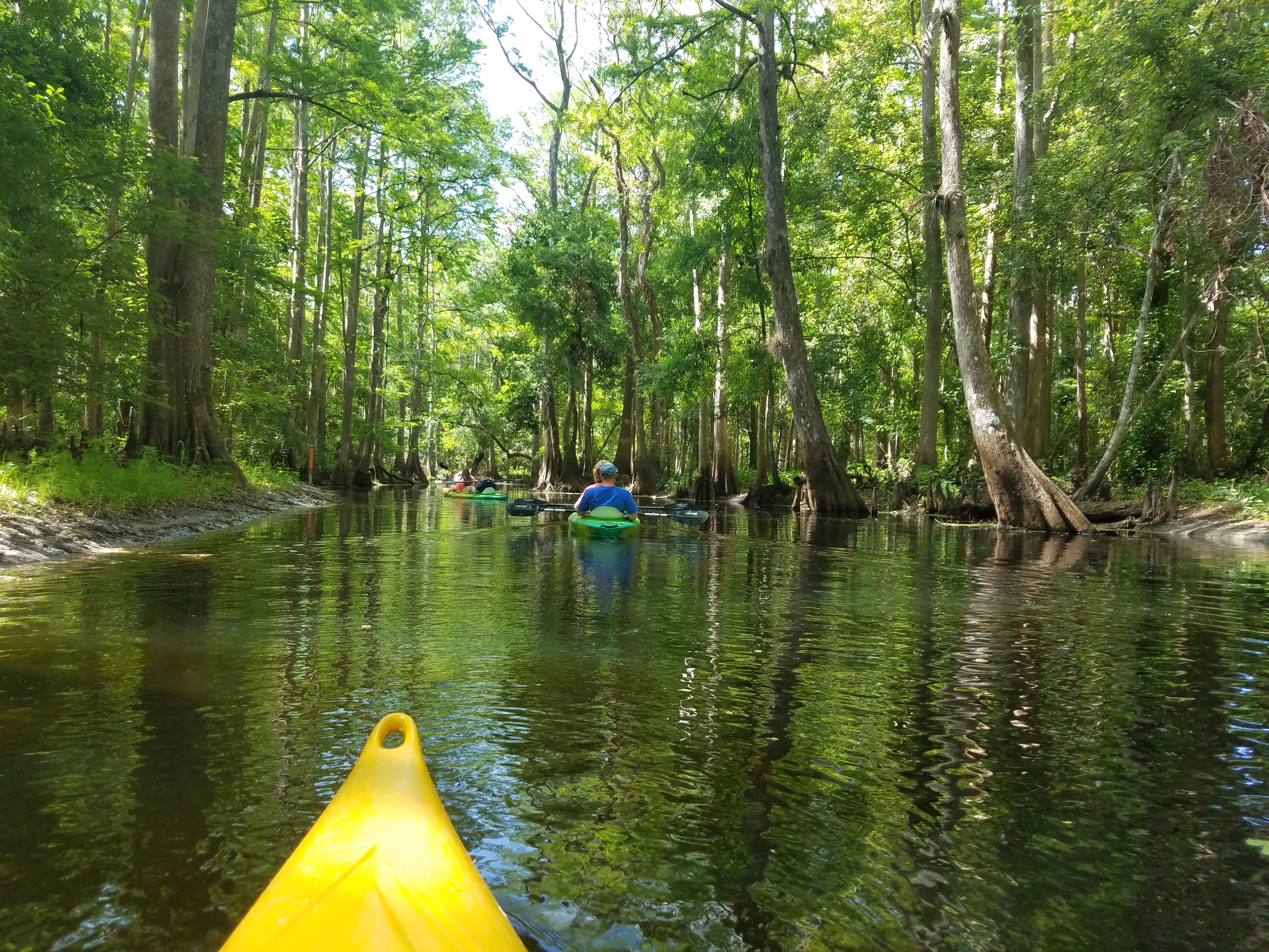 Beautiful Day at Shingle Creek in Kissimmee, FL r/Kayaking
