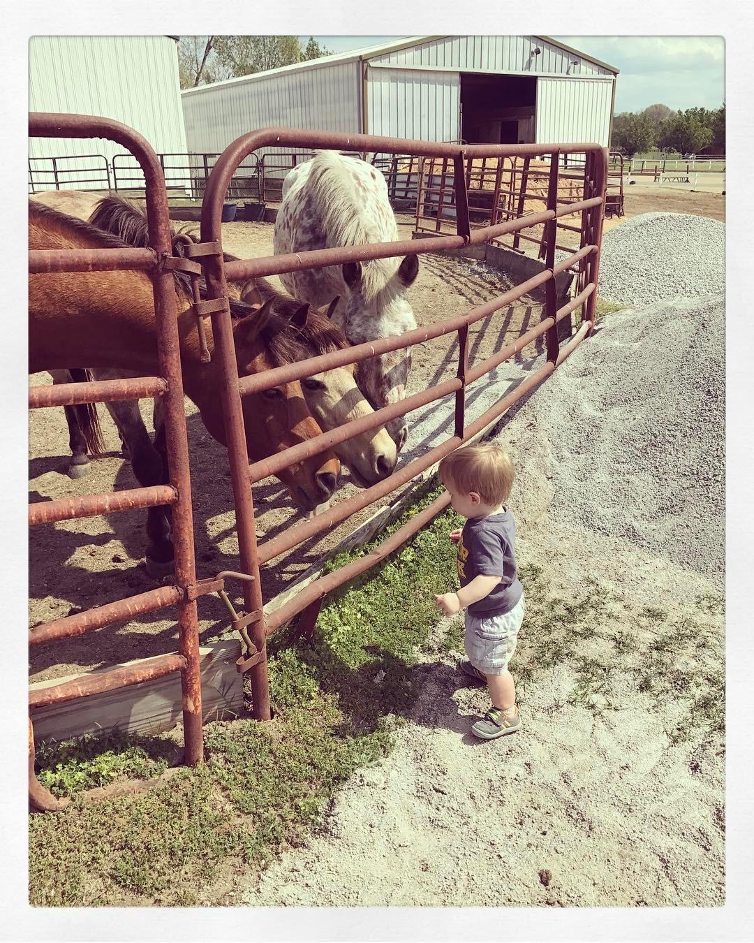 This is his grandma’s farm and he’s always been a horse whisperer. His