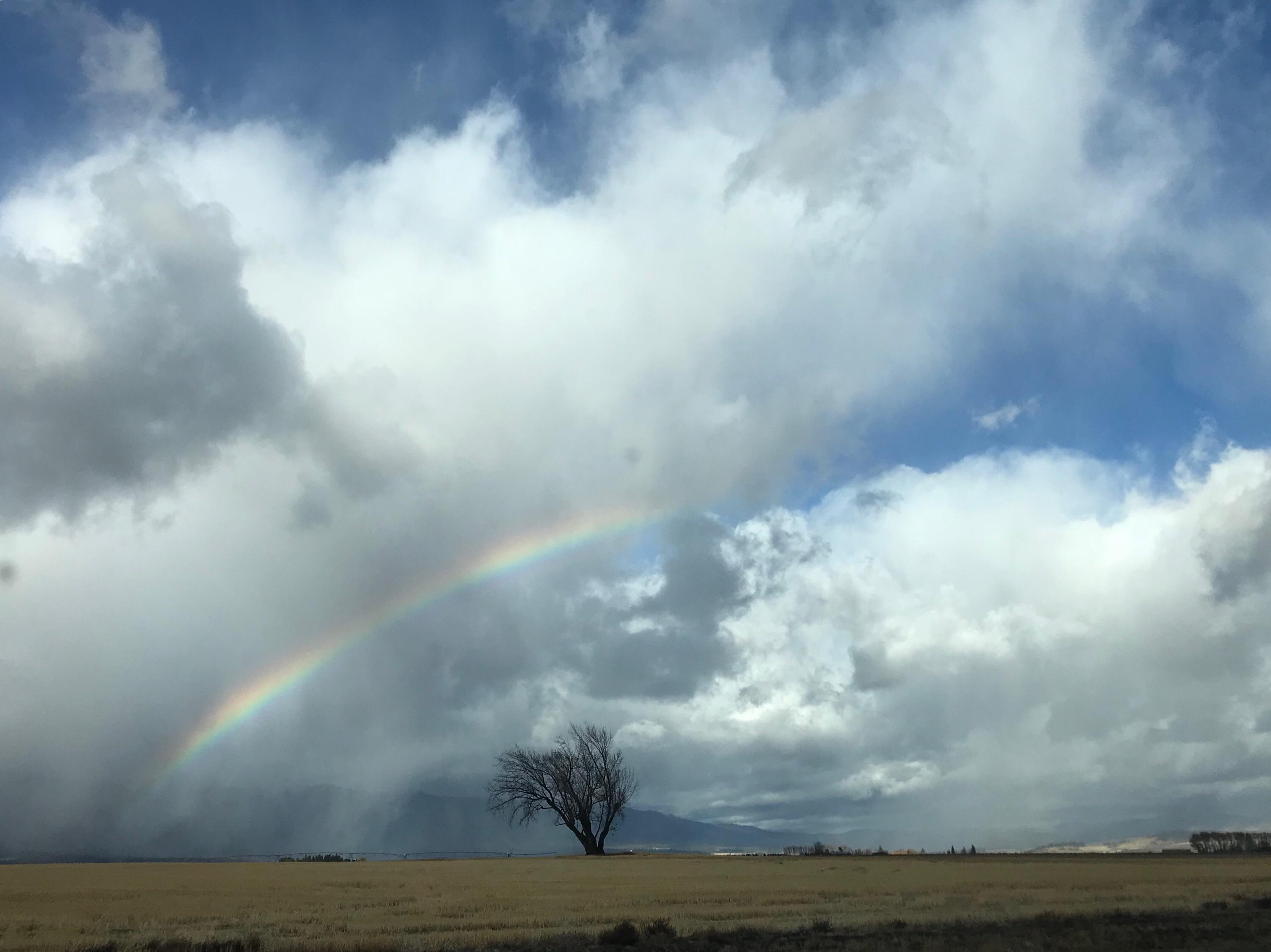Rainbow before the storm. Outside Imbler, Oregon. [OC] [3000 x 2249