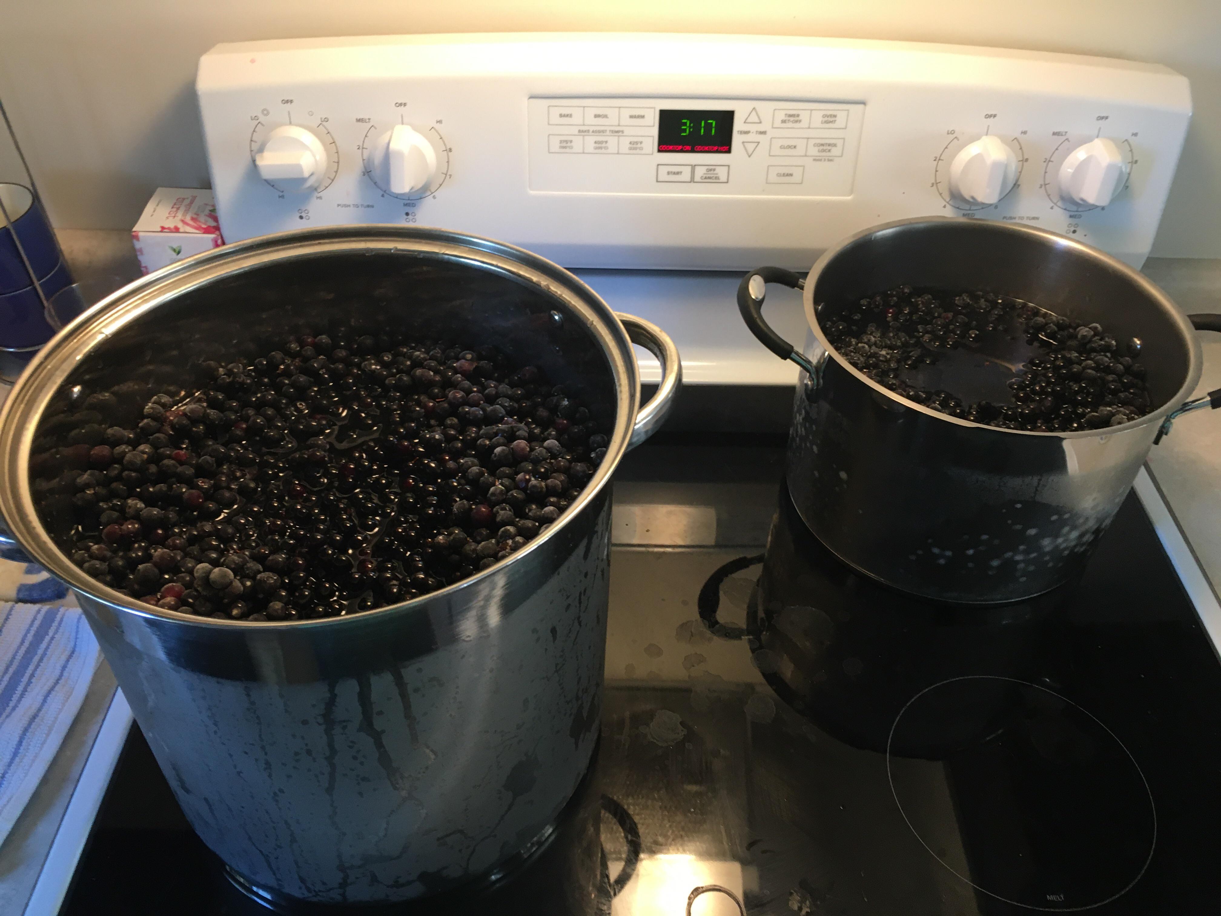 Five gallons of chokecherries ready for juicing r/Canning