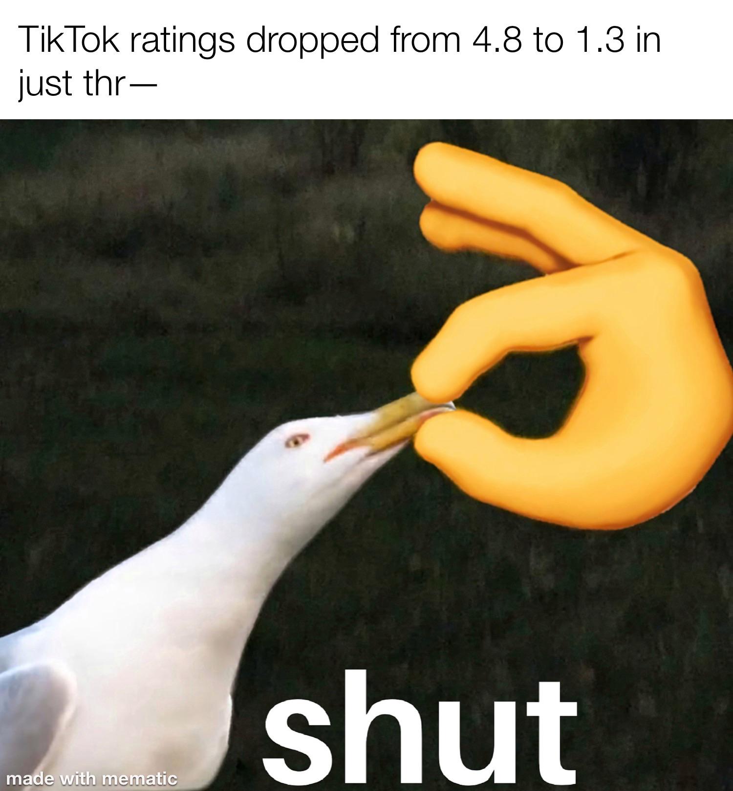 Please shut up memes