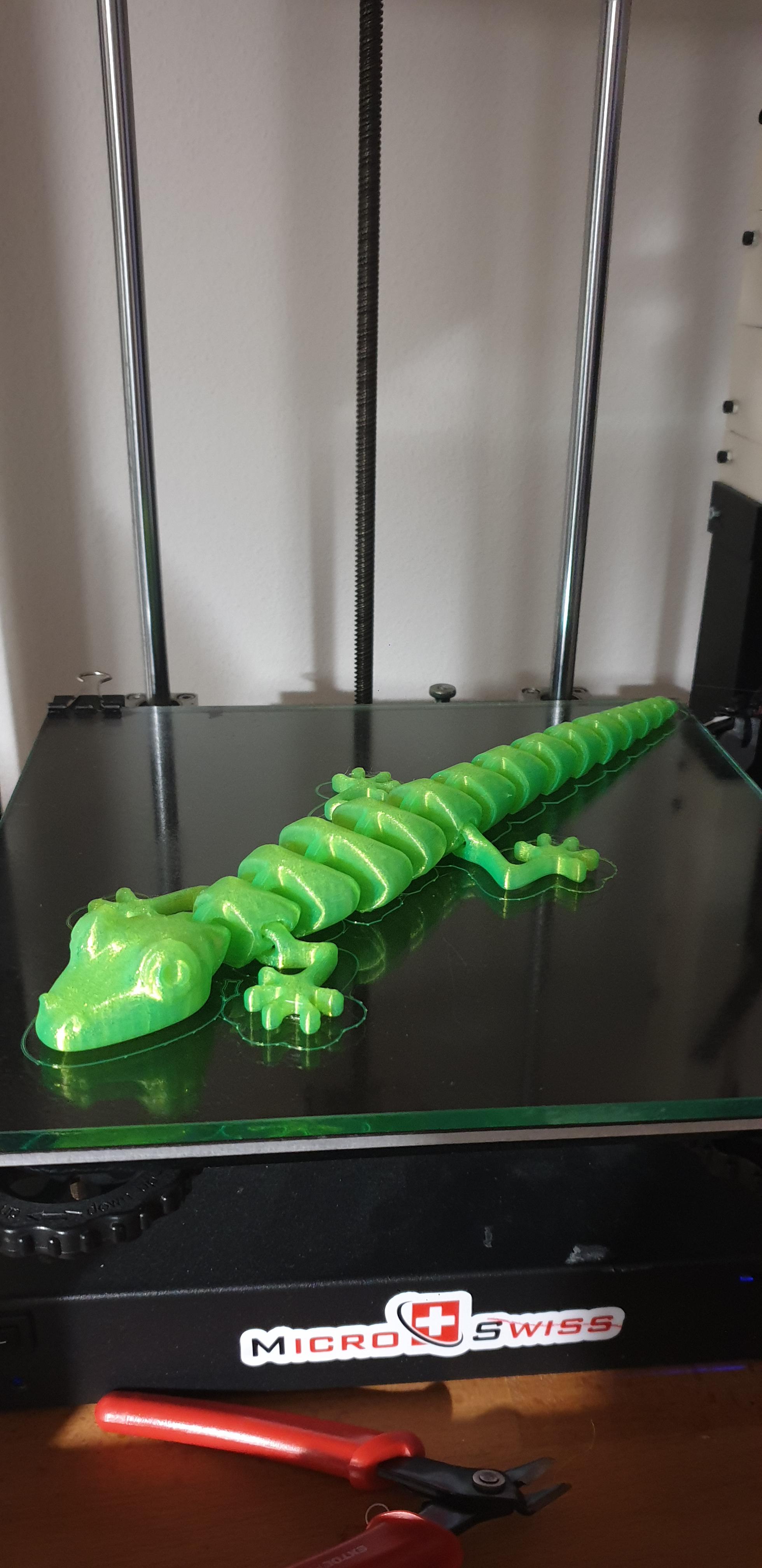 PETG flexible lizard 0,2 layer. Very funny. r/ender5