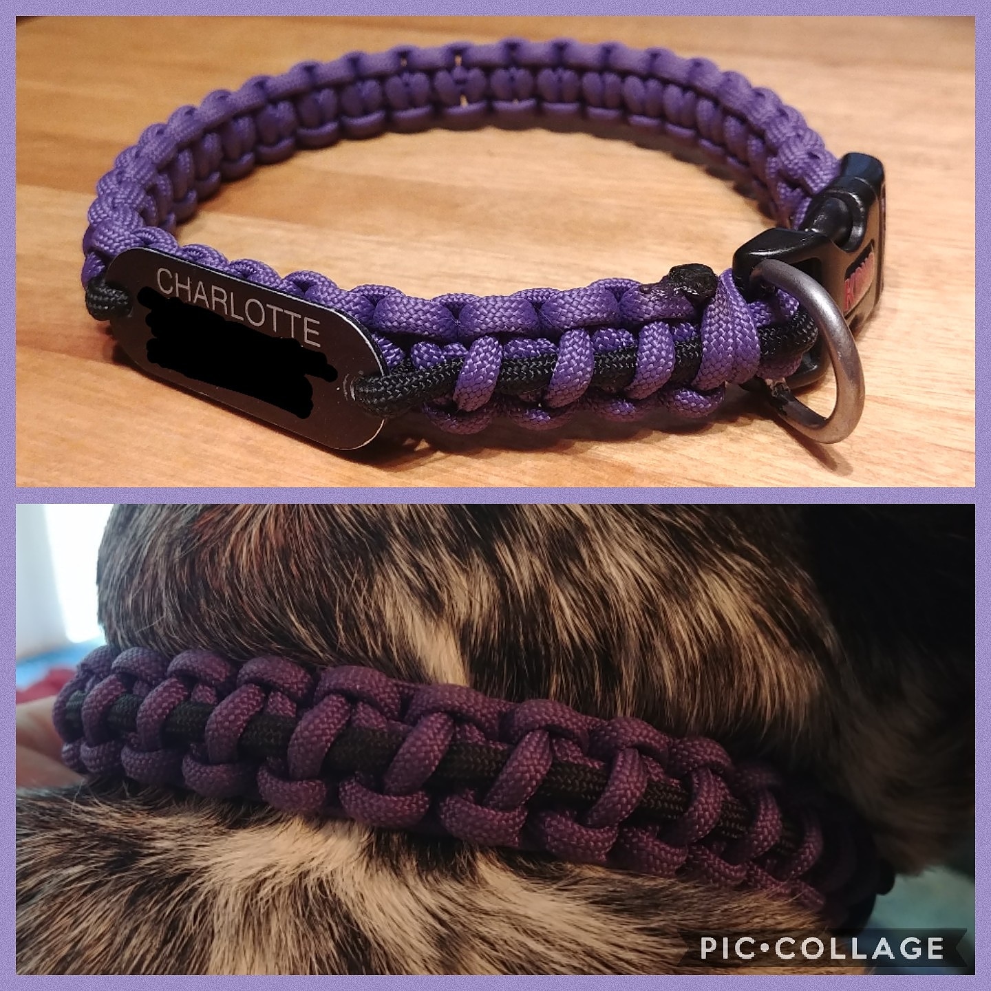 I made a new collar for my dog as my very first paracord project r