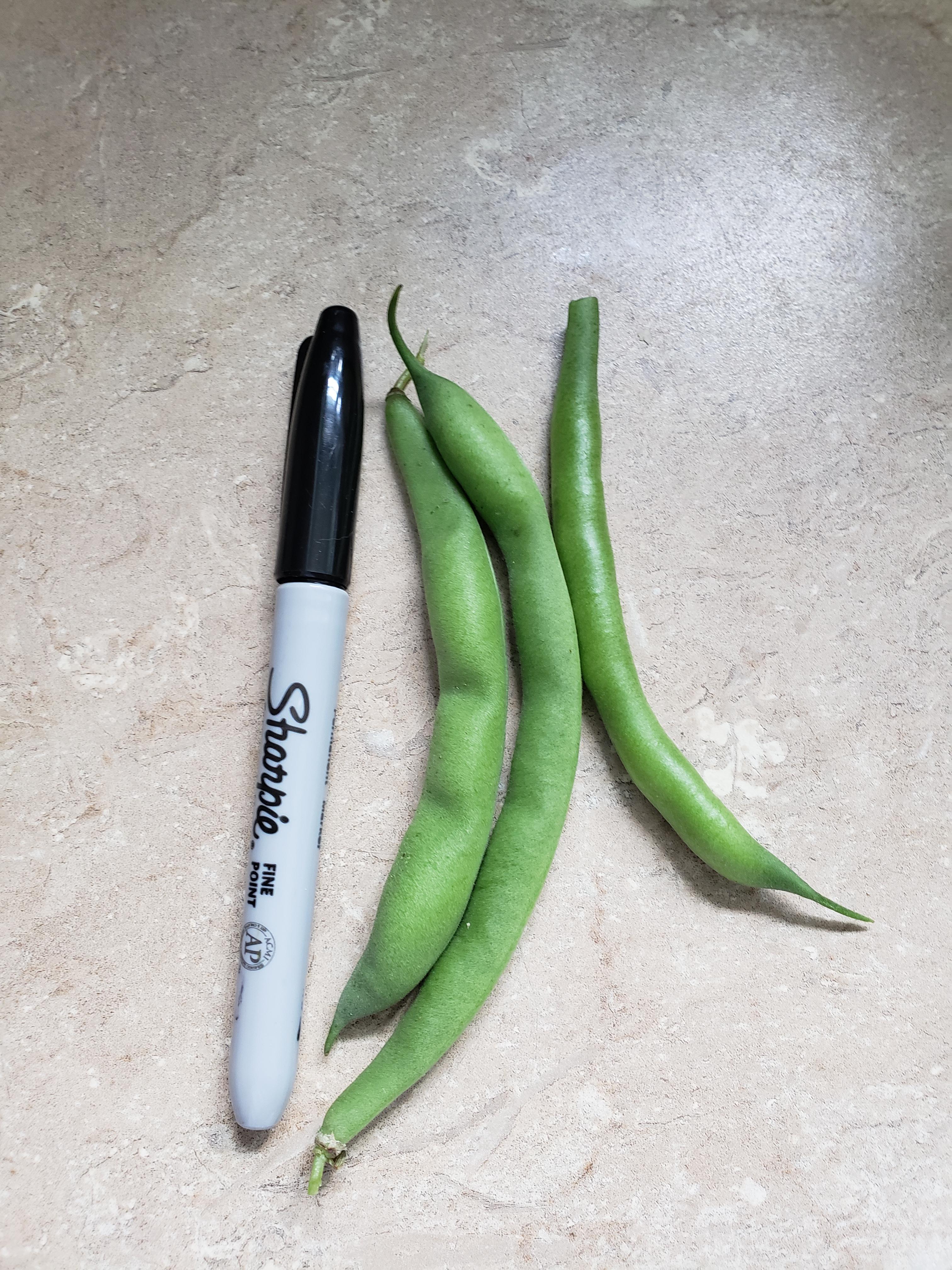 Don't be jealous that my 6 green bean plants produce more than yours