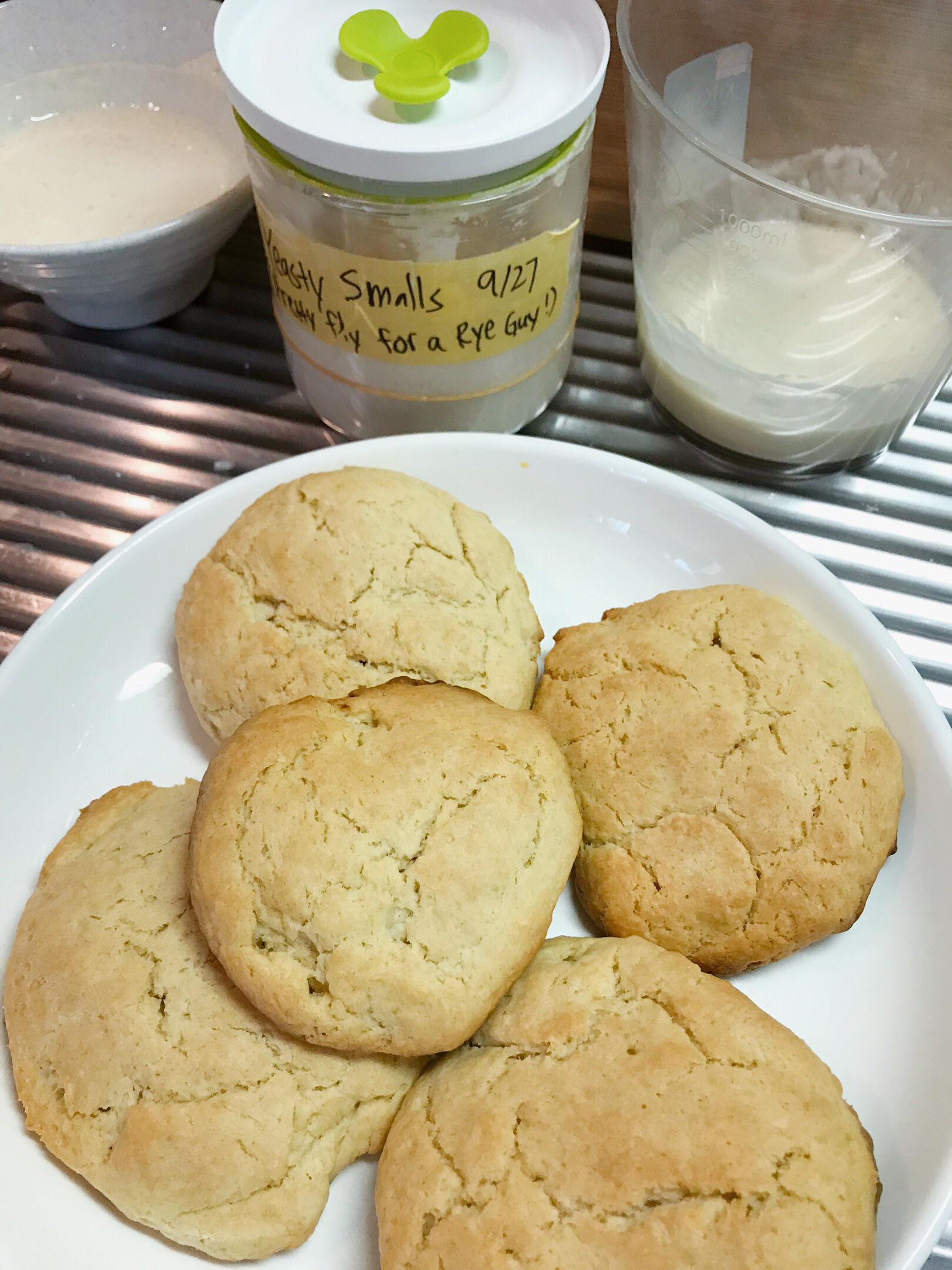 Sourdough Discard Biscuits (first time baking anything with my starter!!) r/Sourdough