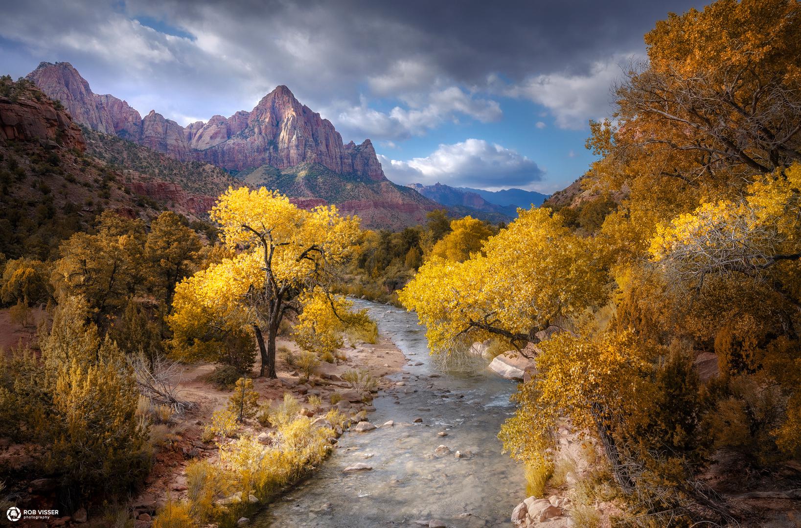 Zion’s gold, my favourite park of our road trip, Zion National park