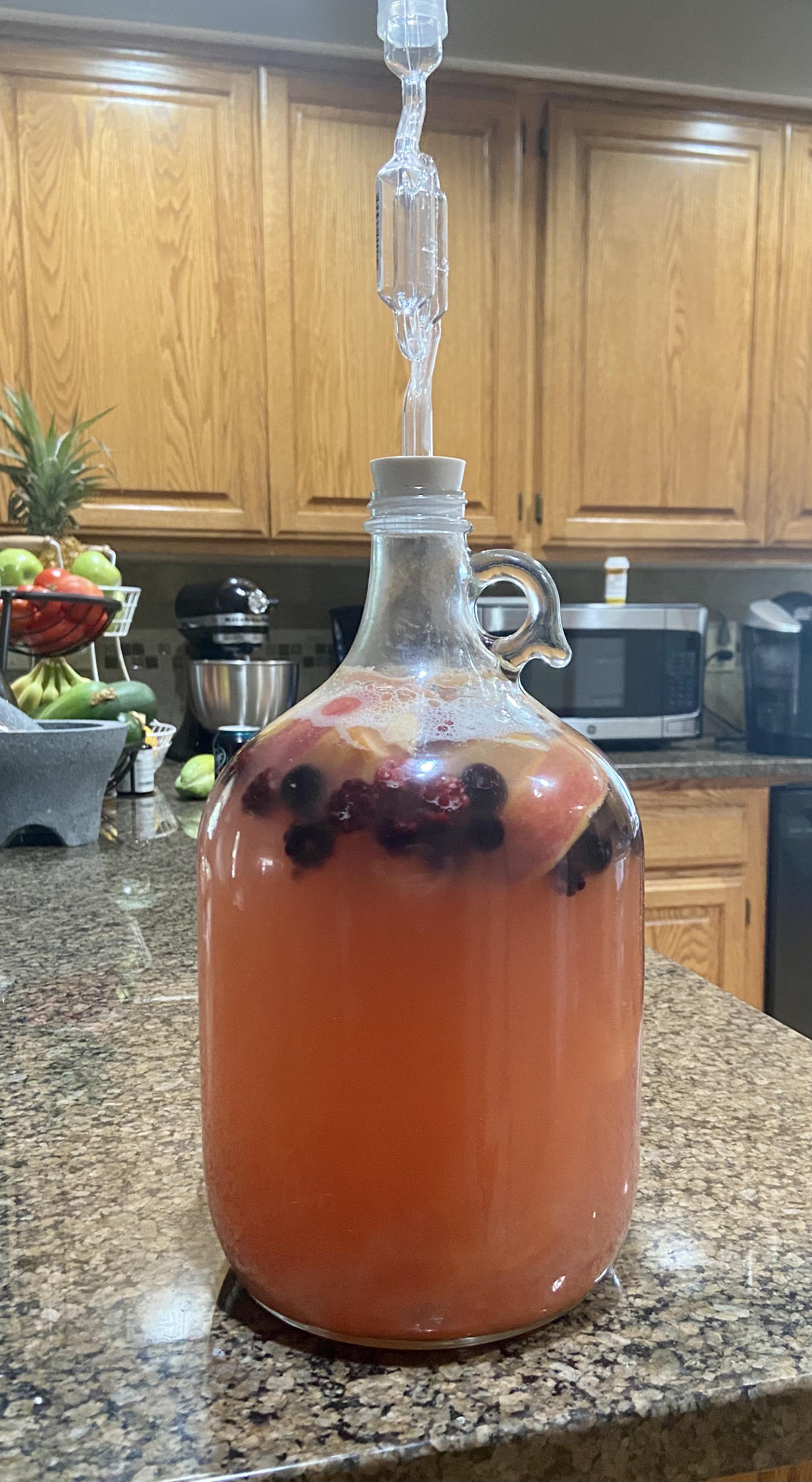 First attempt at mead apples, blackberries, and blueberries thrown in