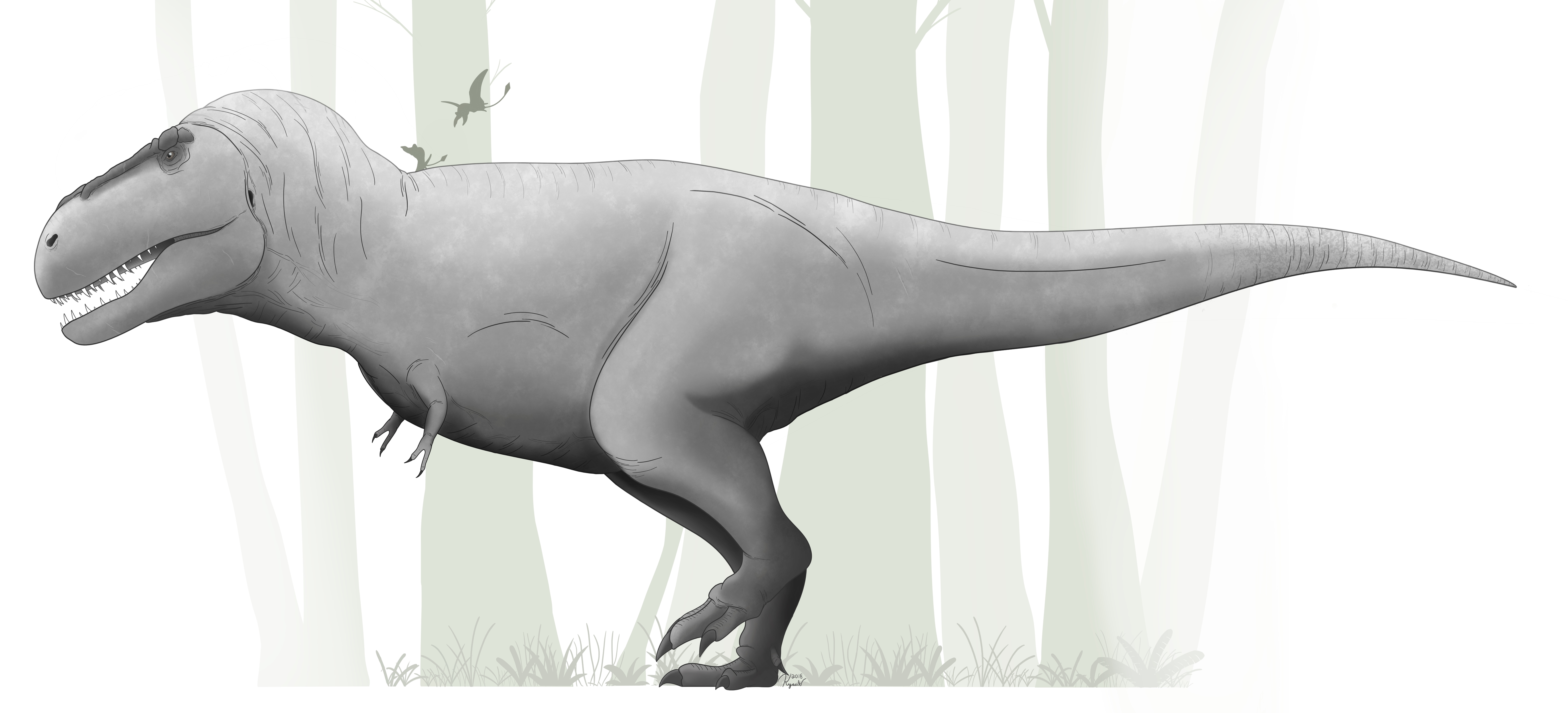 [Dino Art] Tyrannosaurus Rex r/Dinosaurs