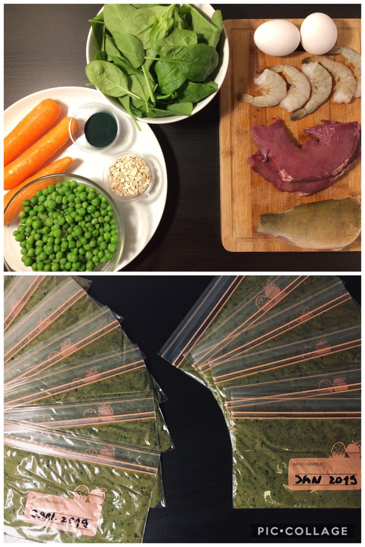 Anybody else preparing homemade frozen foods? r/Aquariums