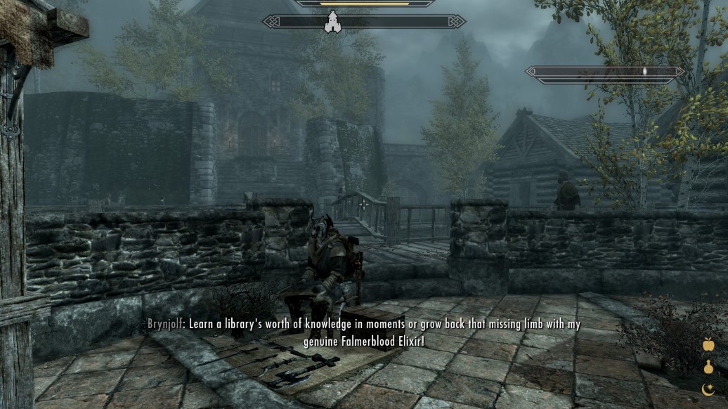 Started a run as a Khajiit Merchant/Treasure Hunter, not having much luck so far selling my