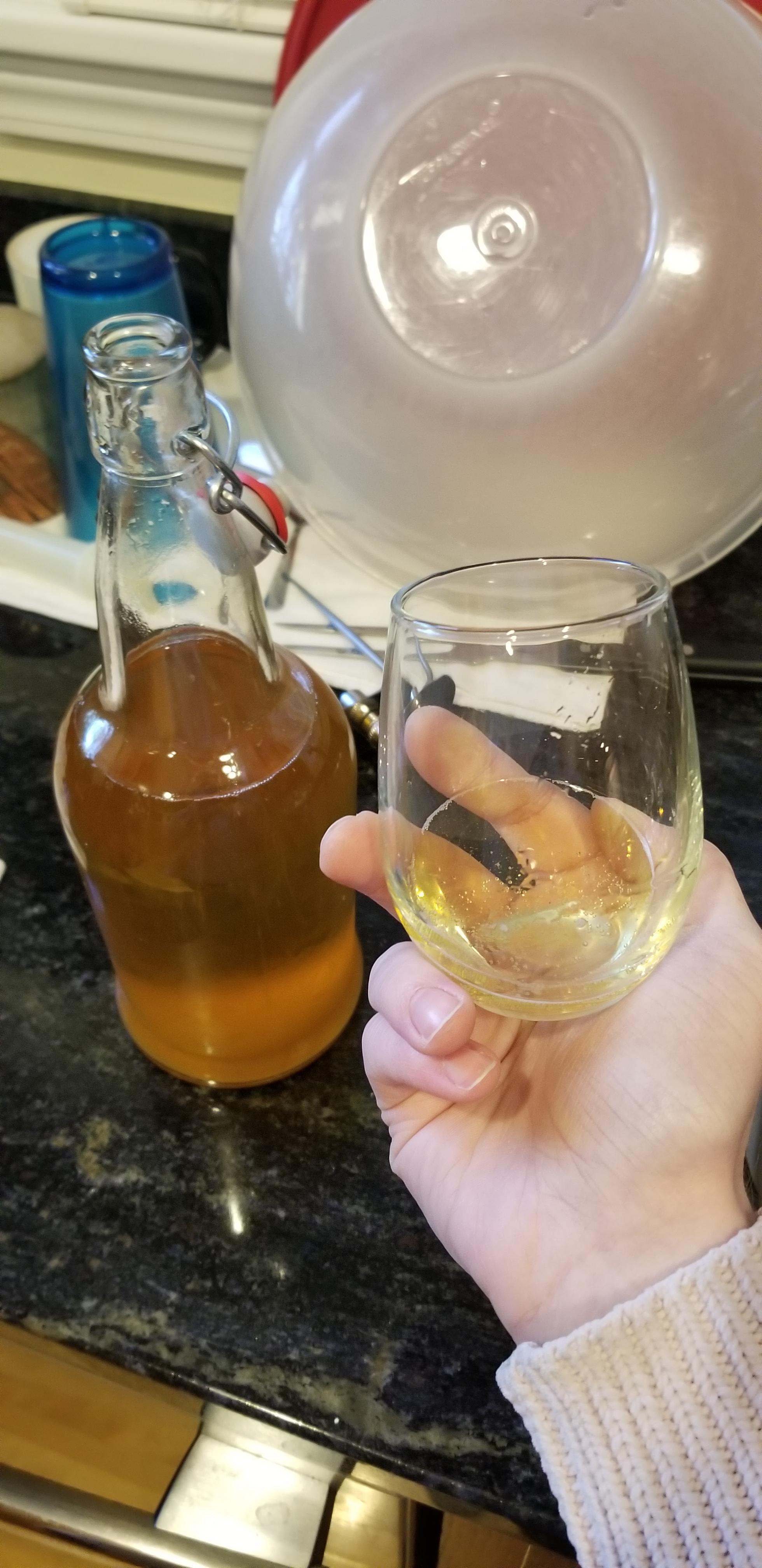 Very first mead I've made D r/mead