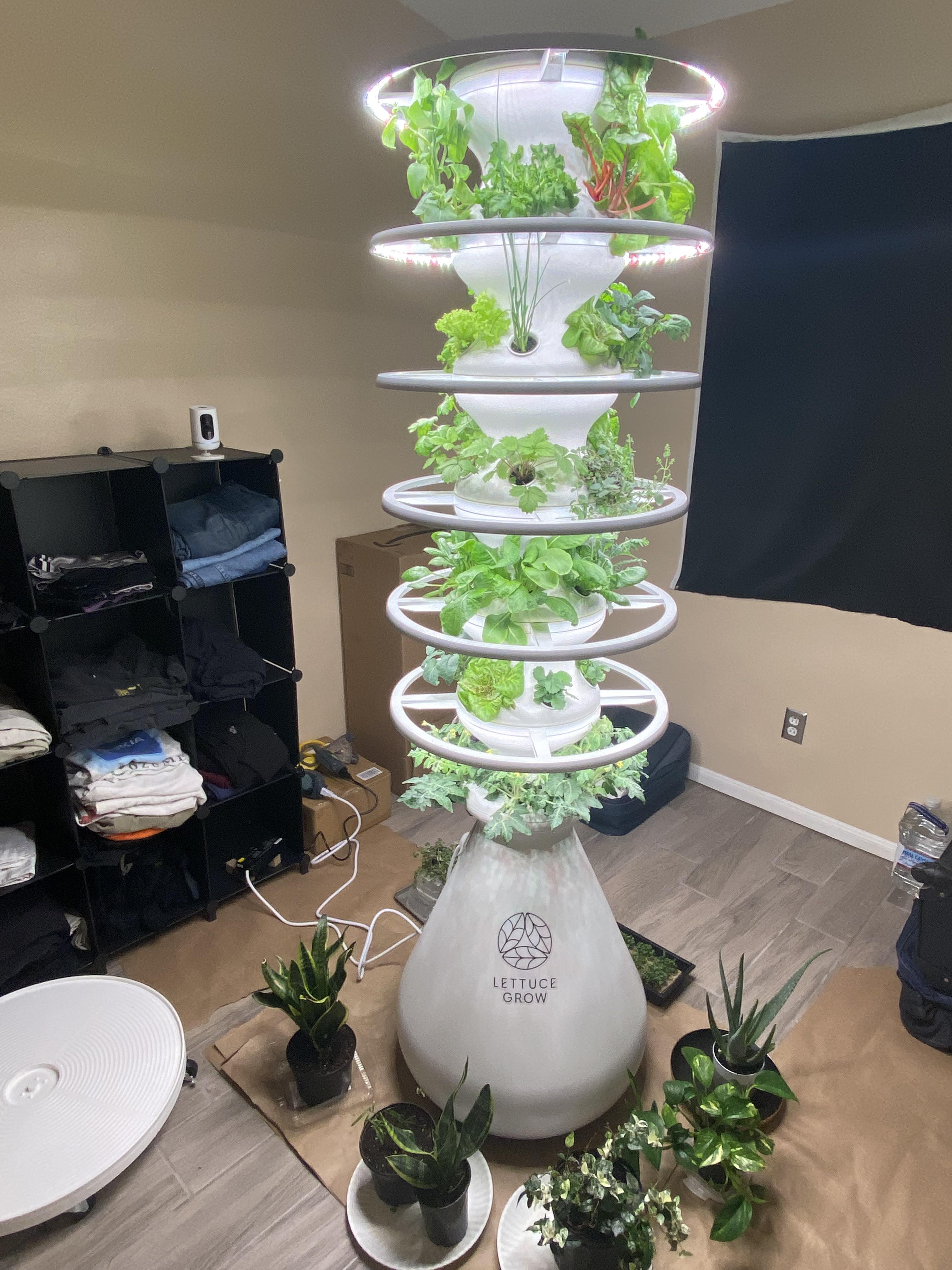 Just a quick pic update of my Farmstand from Lettuce Grow. I’m now