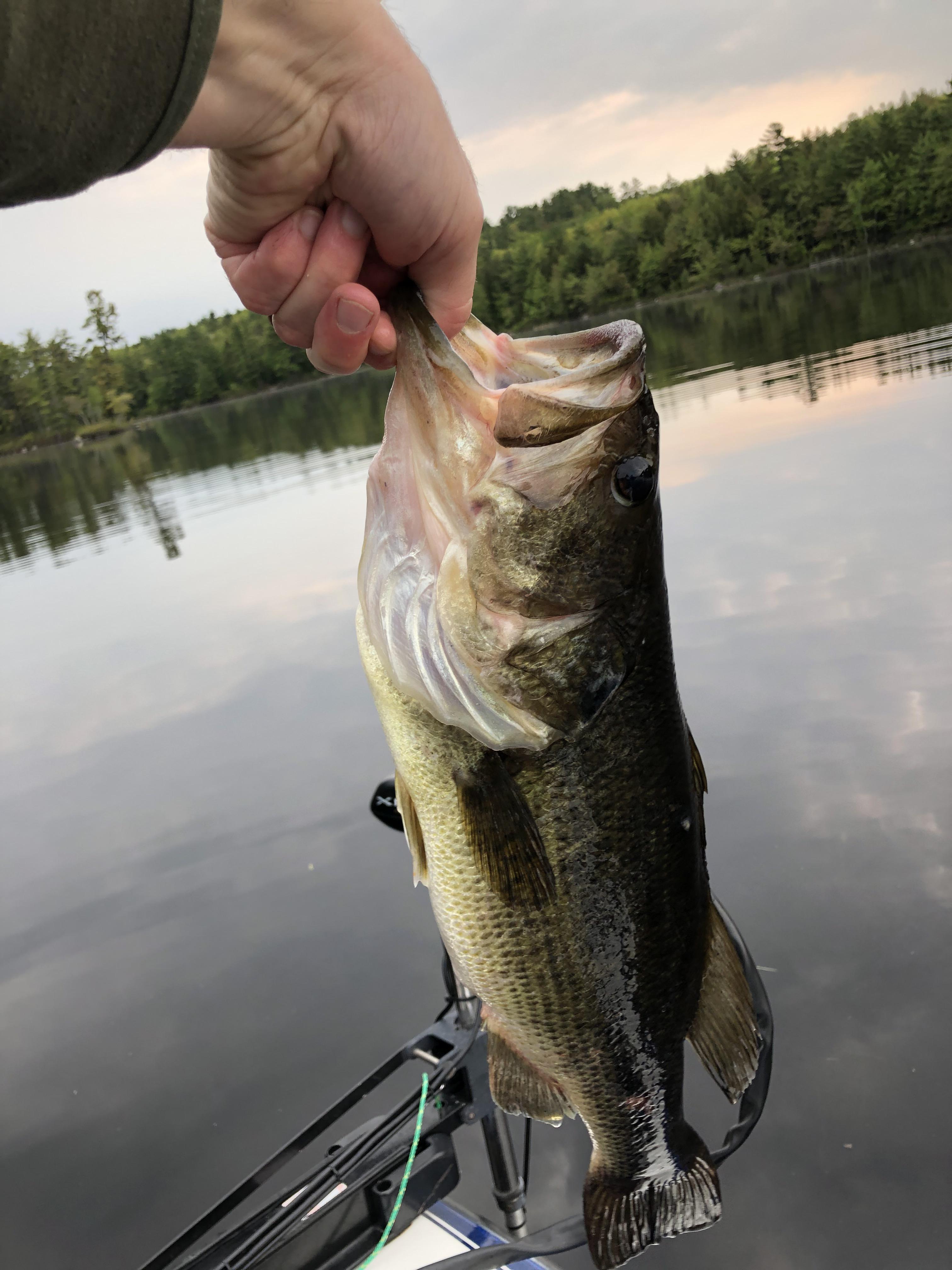 Moose Pond, Bridgton Maine r/bassfishing