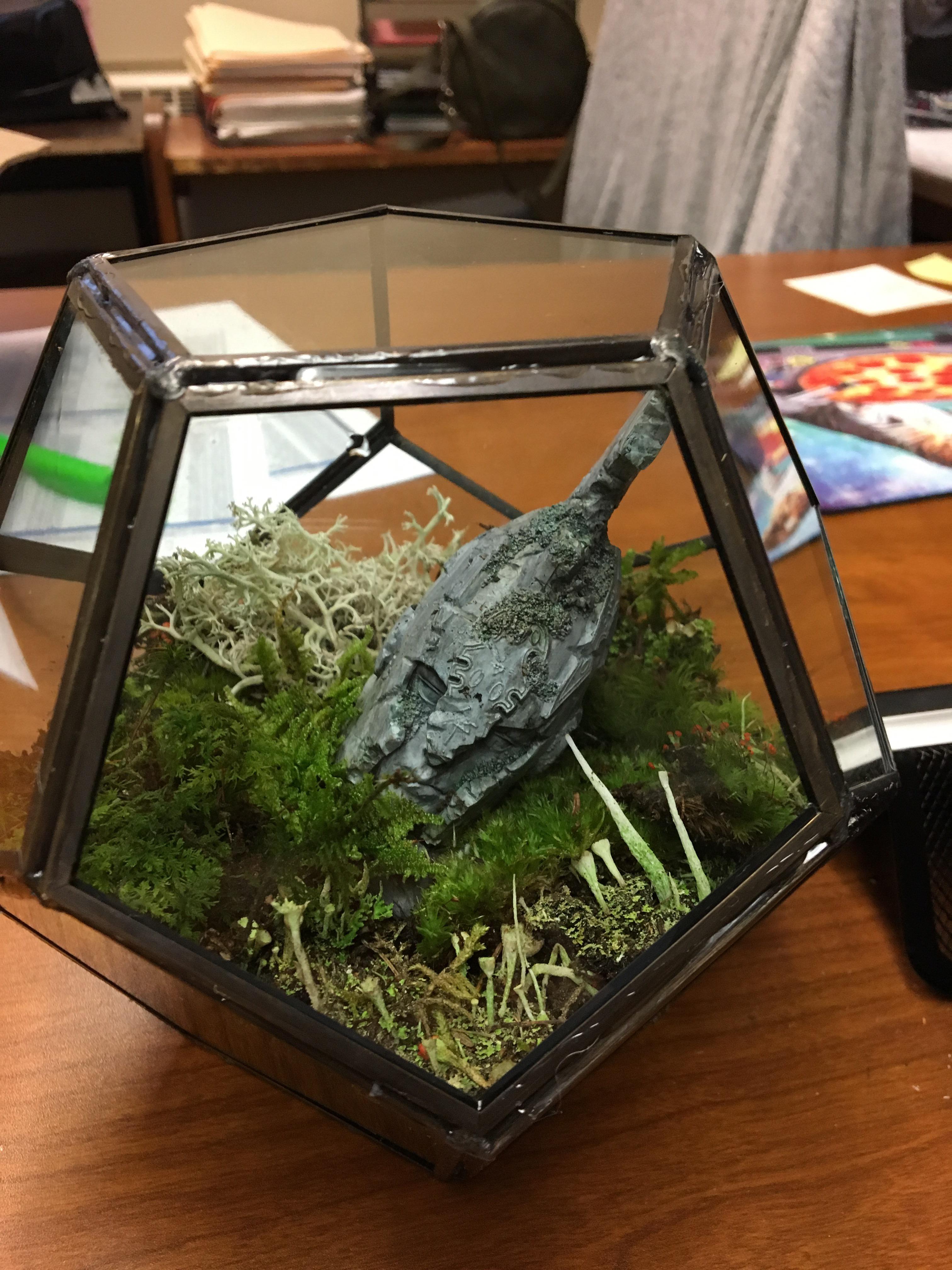 Just set up my first little mossy terrarium! I am very proud of now