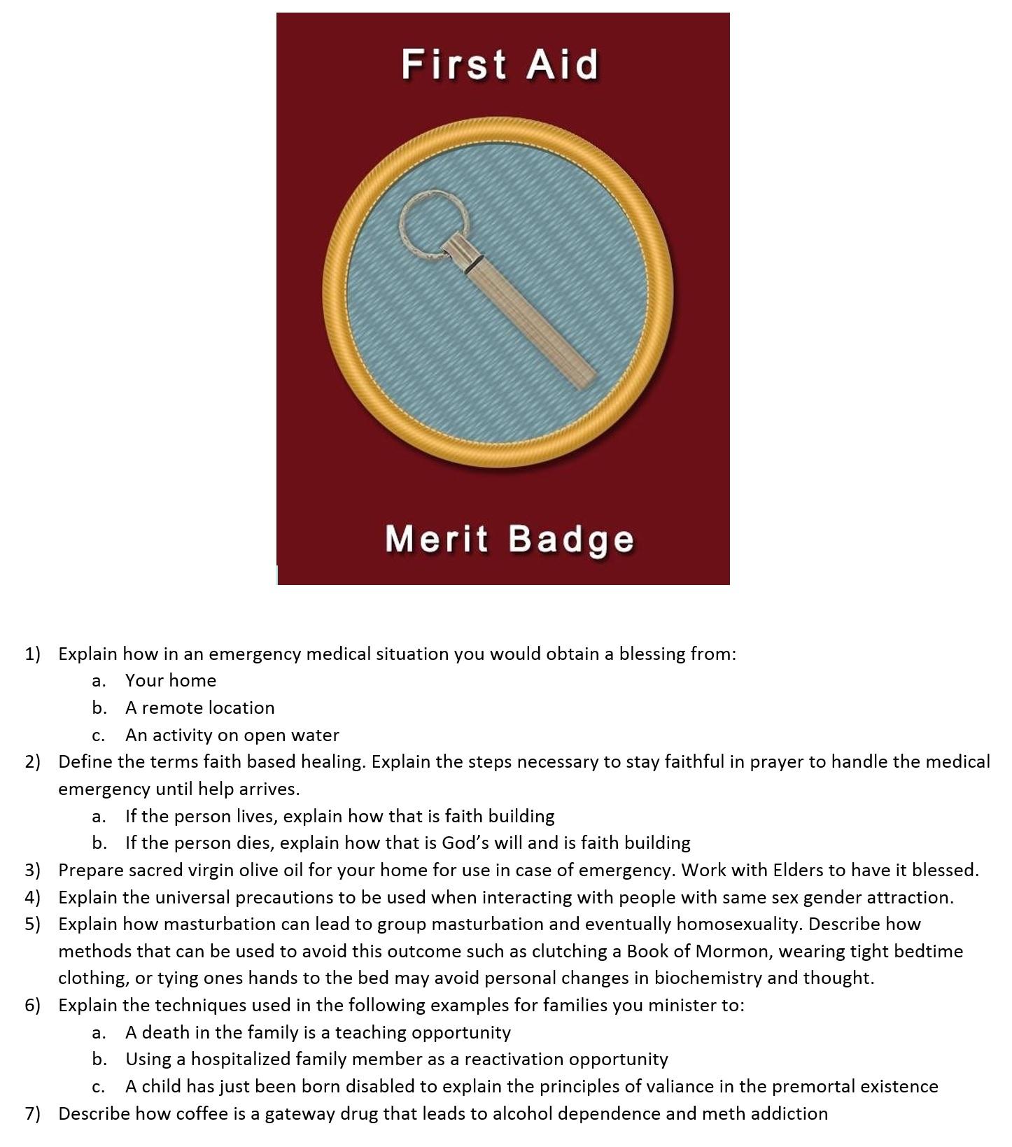 Leaked! One of the church's BSA replacement program merit badge