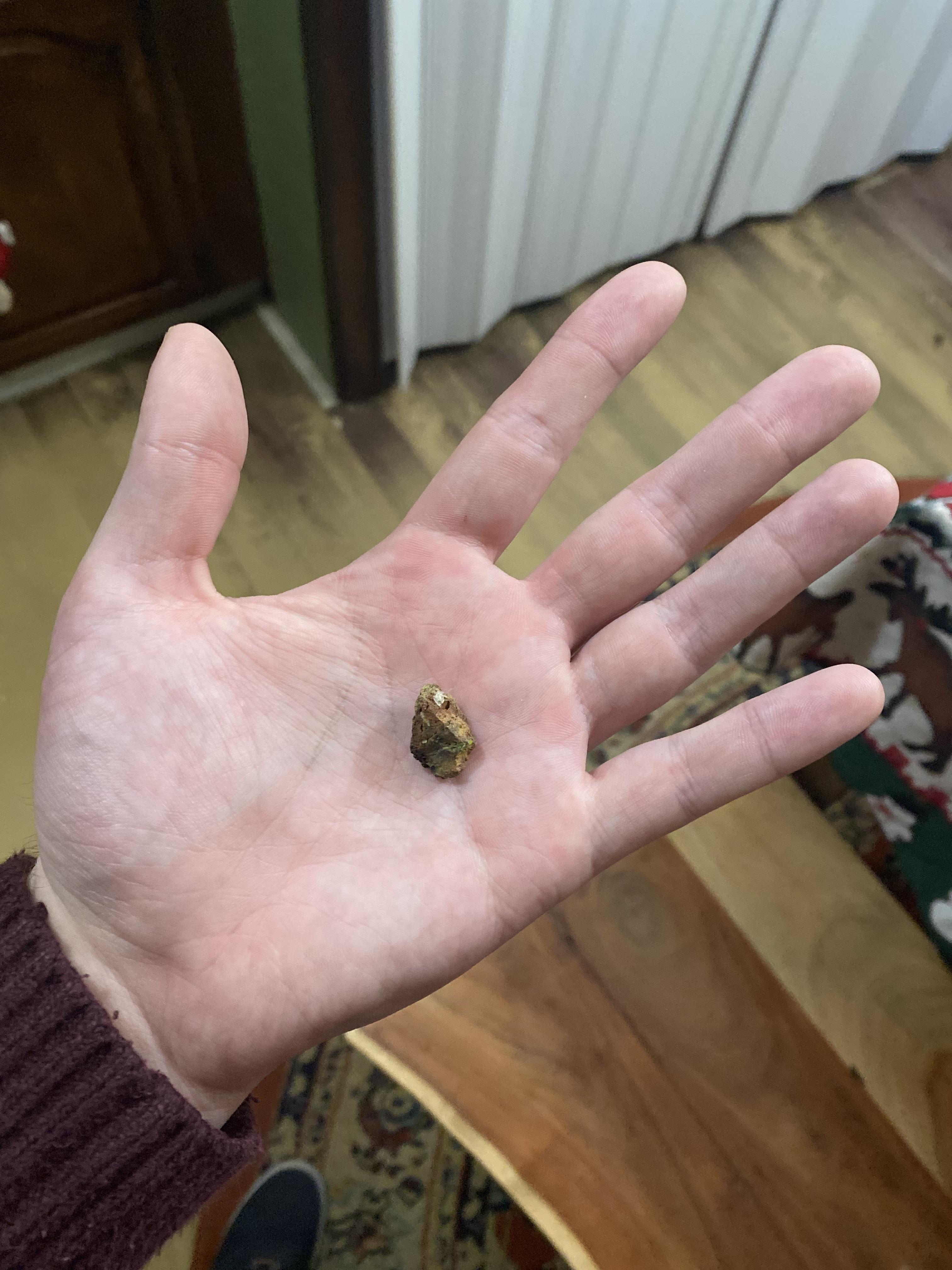 Found this rock from my “Good and Gather” frozen mixed veggies after