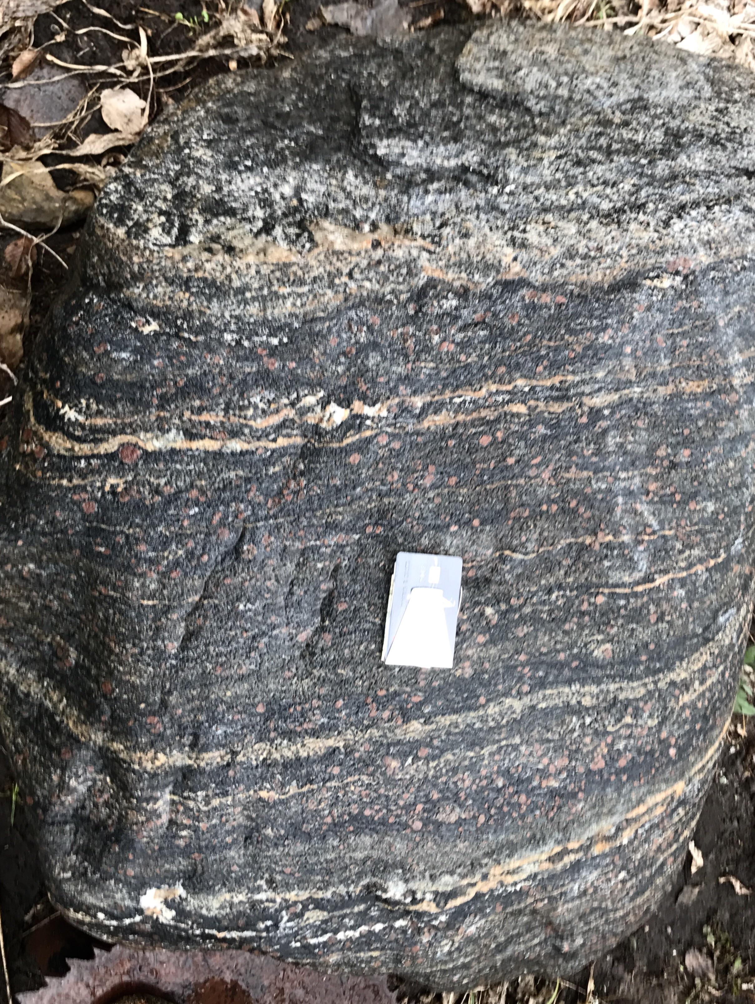 Ribbon mylonite r/geology
