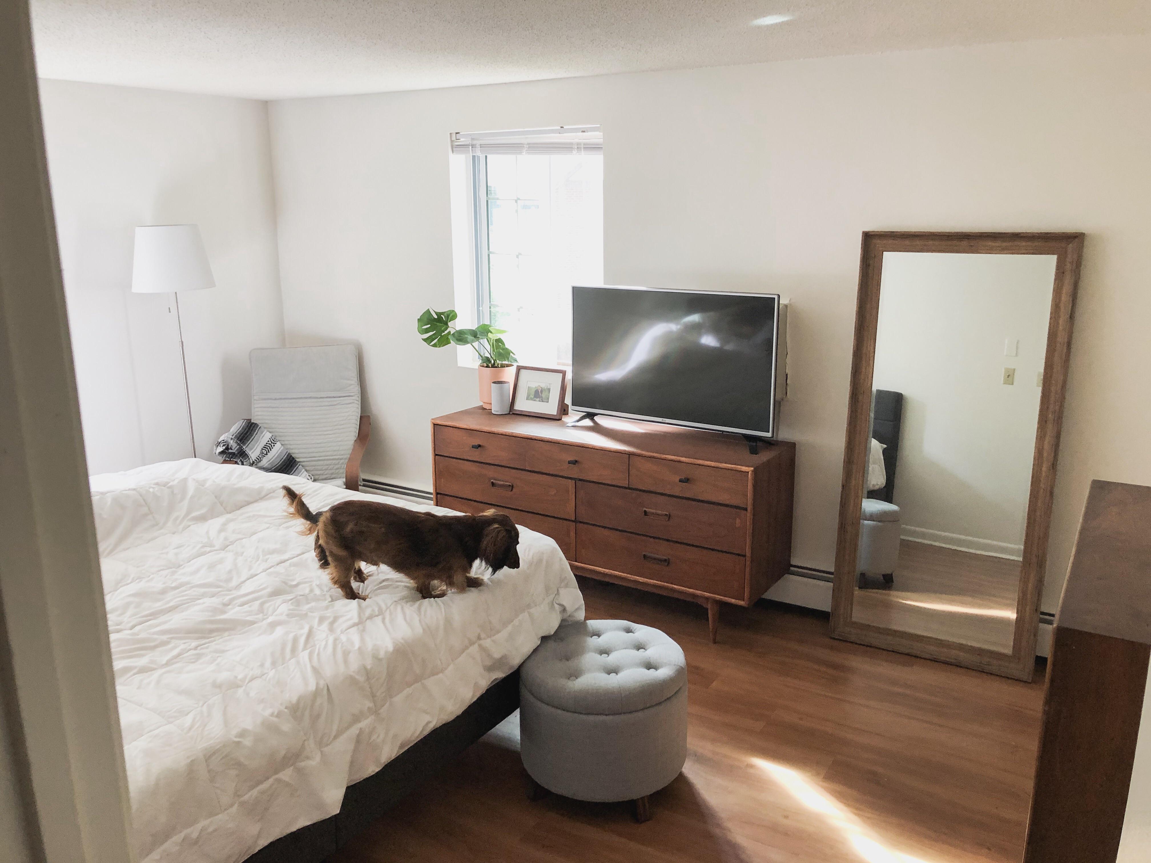 Our new apartment bedroom (New Hampshire) r/AmateurRoomPorn