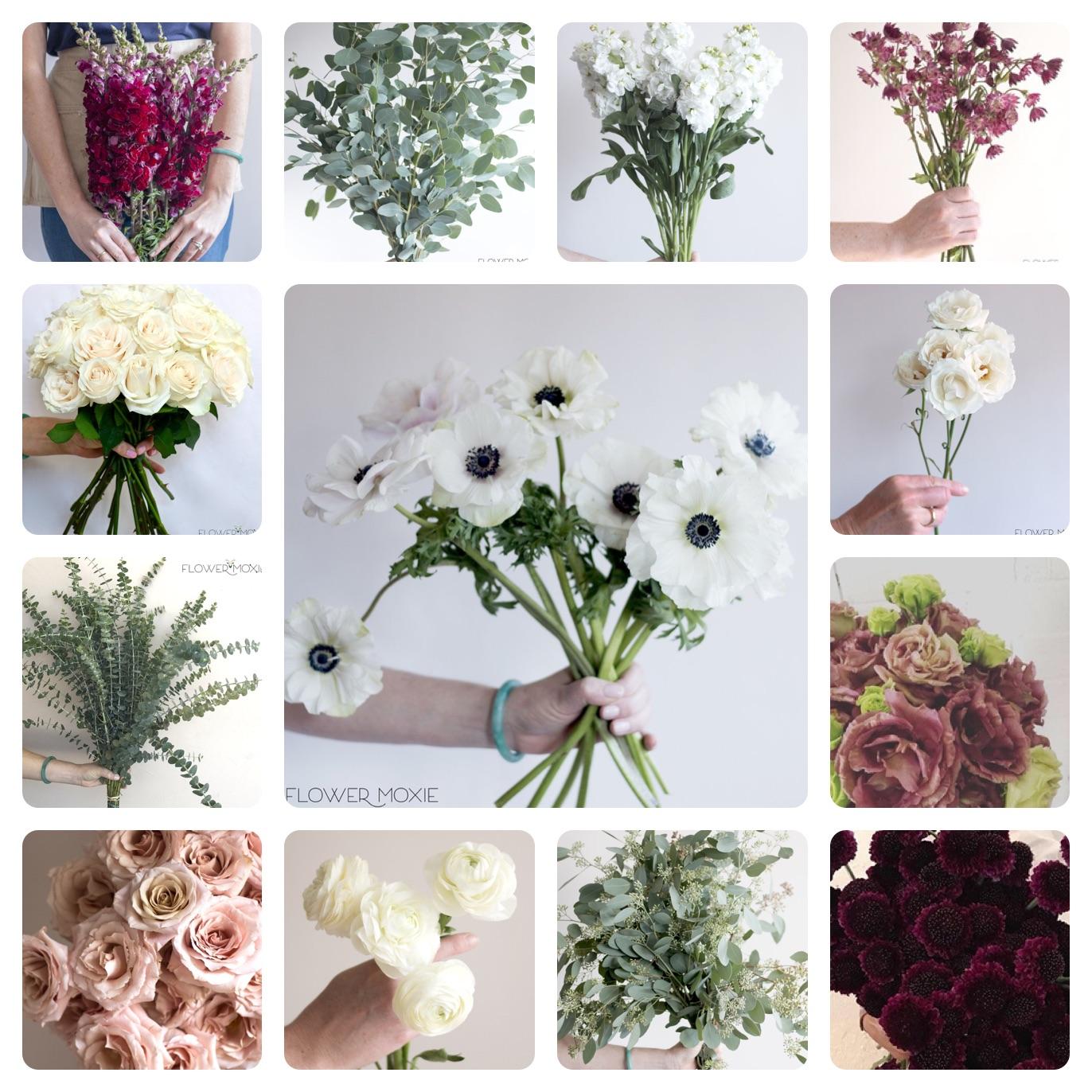 Just got our floral recipes from our Flower Moxie consult, so excited