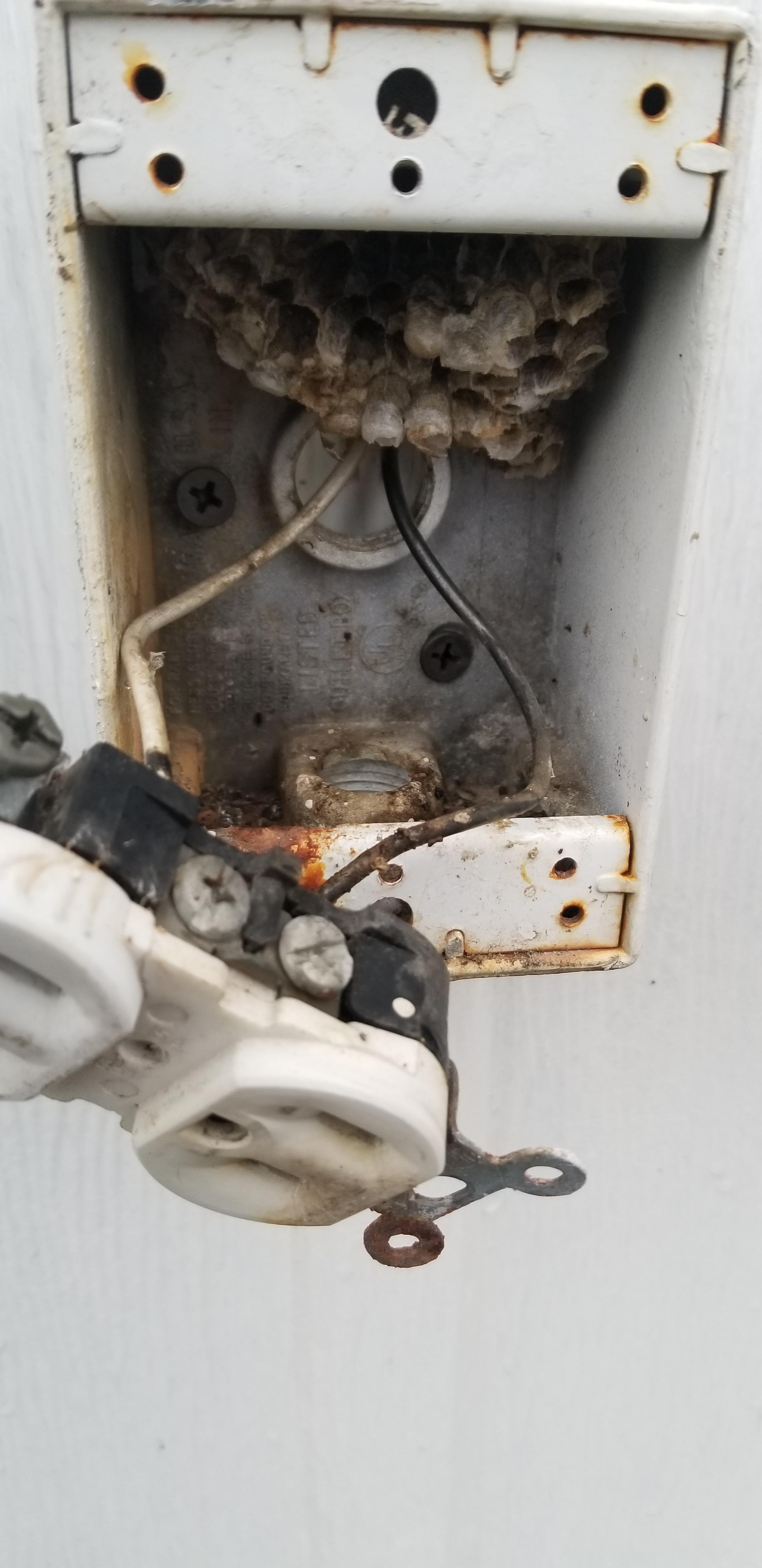 My outlet is buzzing... r/electricians