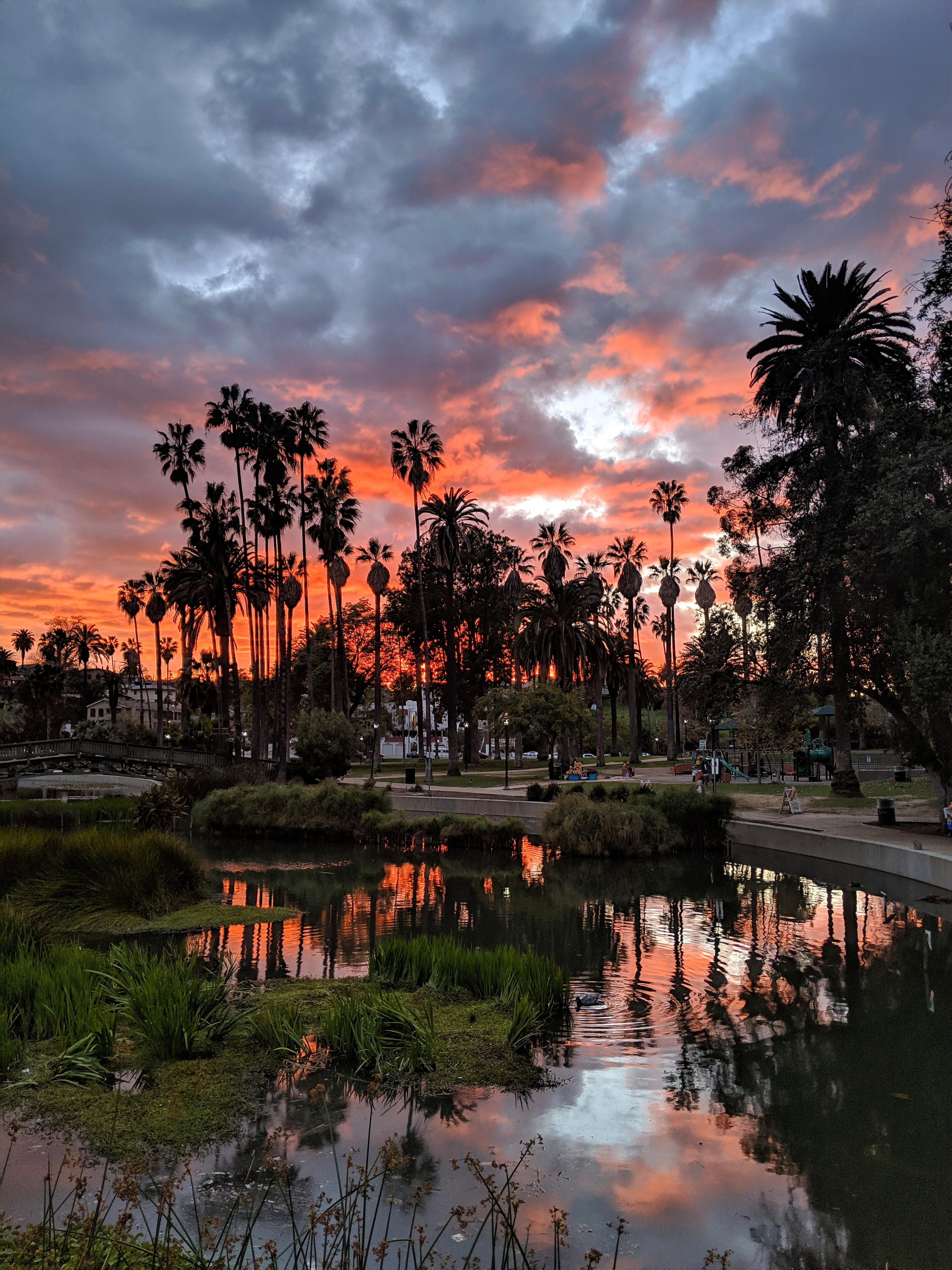 [Pixel 3] Dramatic Sunset at Echo Park Lake [Night Sight + Snapseed