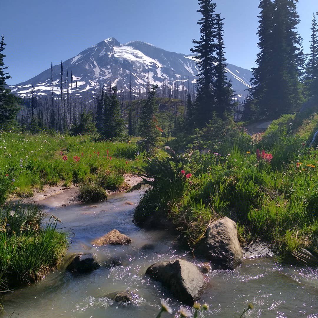 Such a pretty view of Mt. Adams from the Stagman Ridge Trail, Mt. Adams