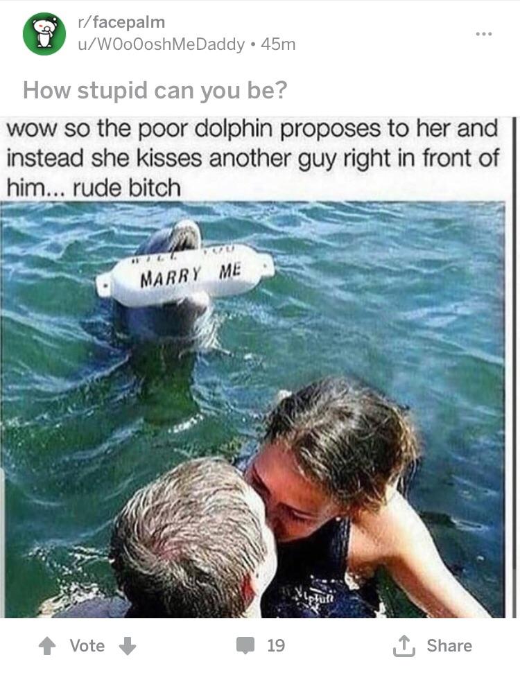 Missed the joke whoosh