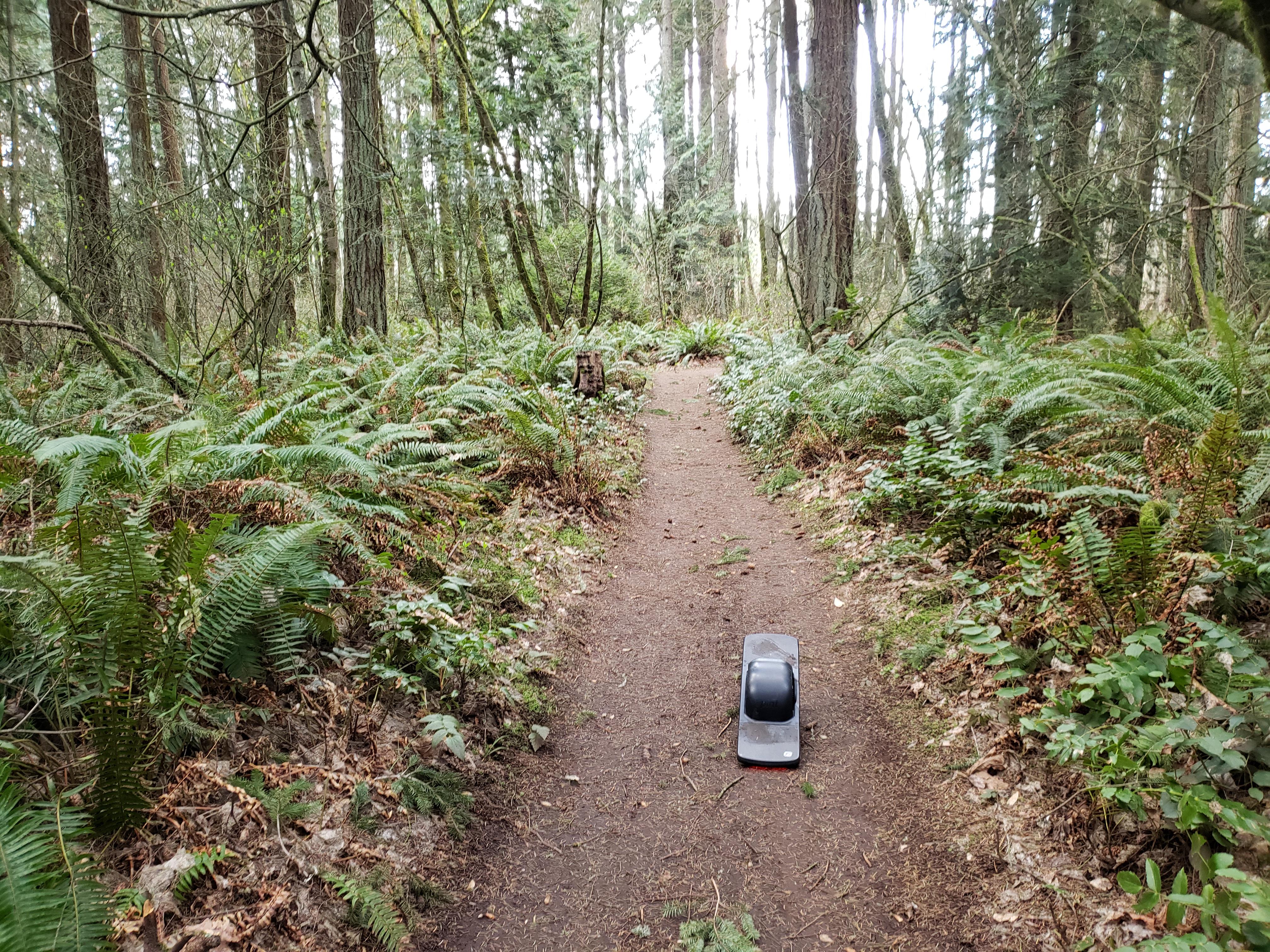 Another beautiful ride in Beaverton, Oregon r/onewheel