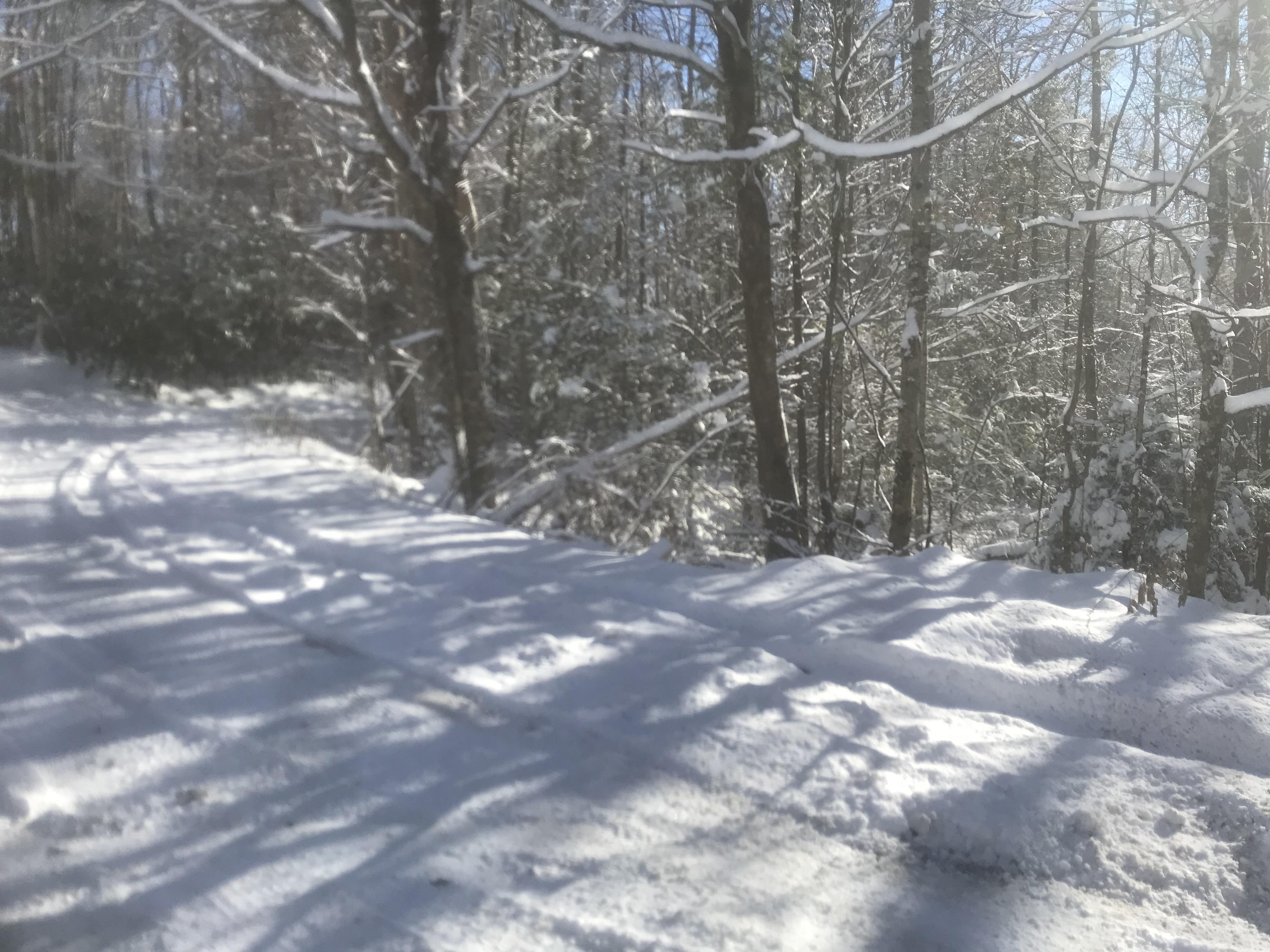 Mountains East Tennessee r/Tennessee