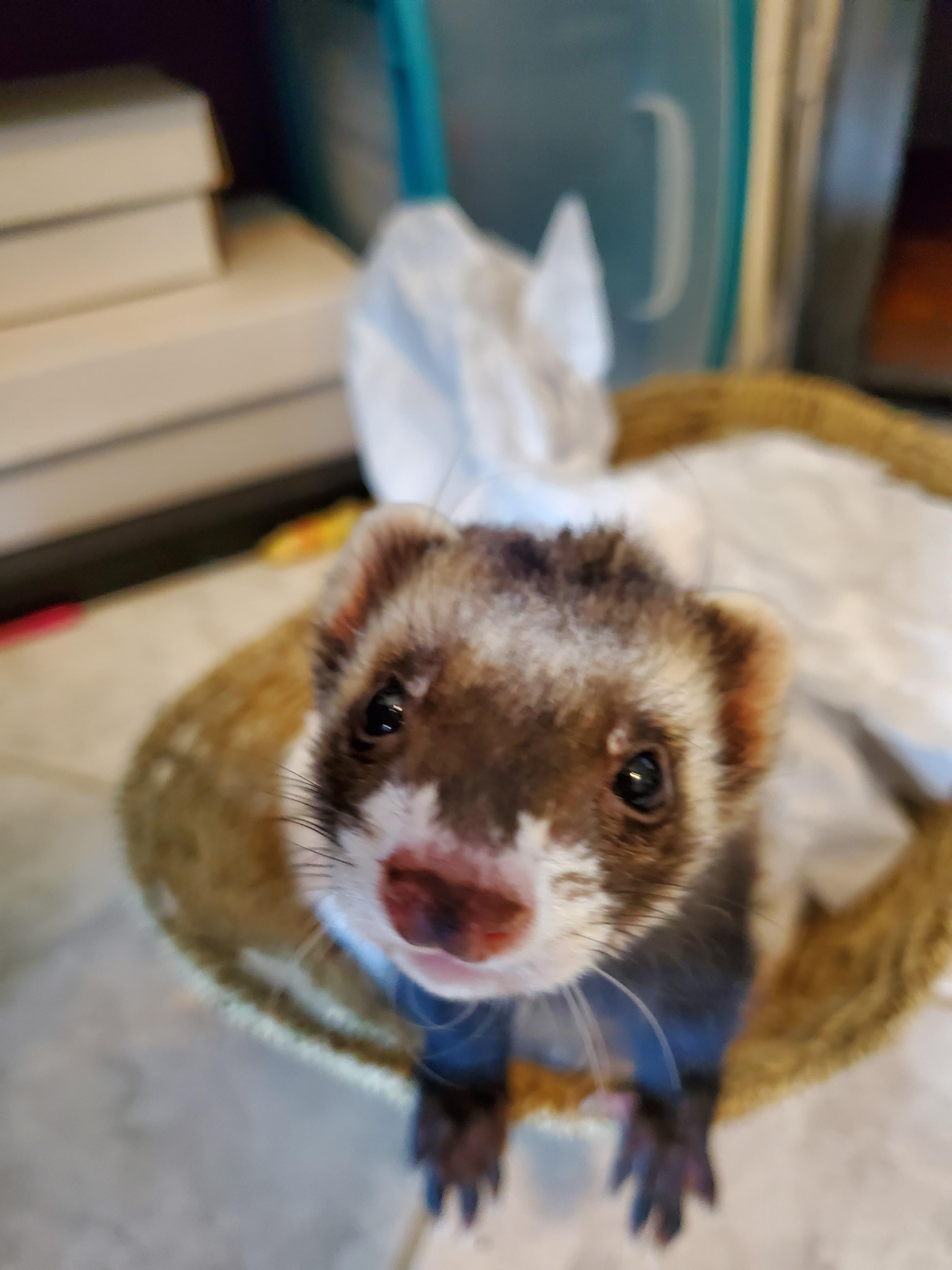 Nothing is better than when "Mom" gets a package in the mail and you