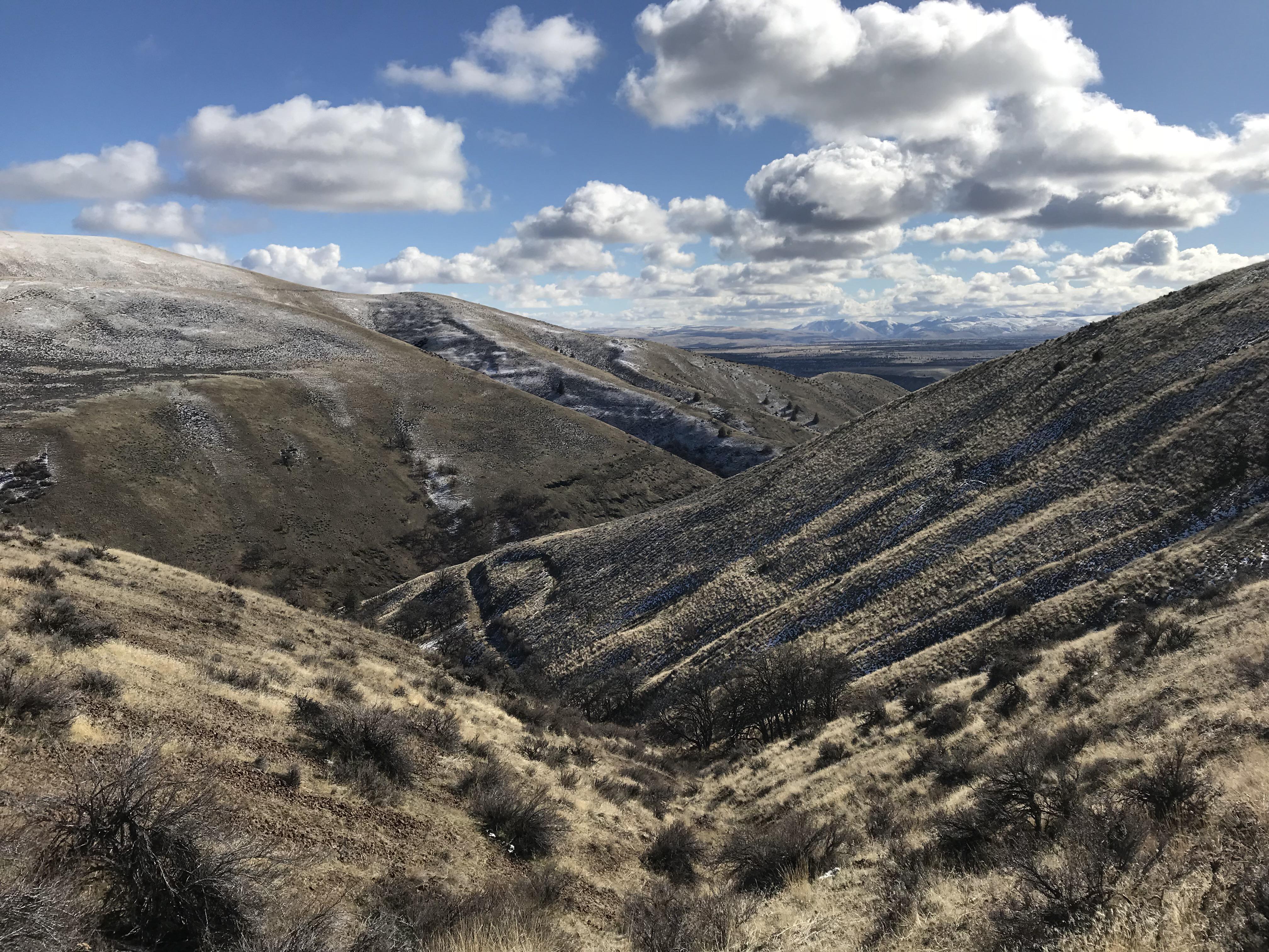 Eastern Oregon. White River Wildlife Area. r/hiking