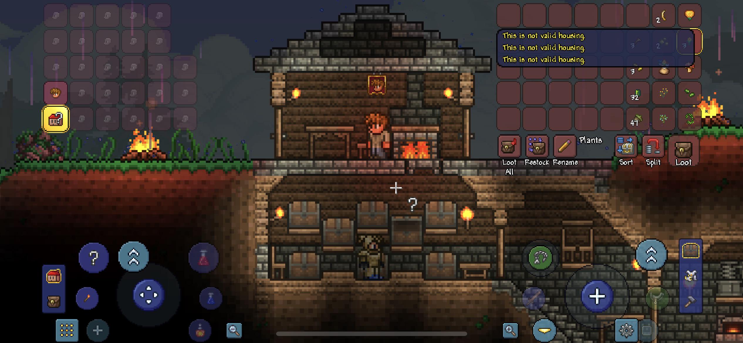 Why isn’t this a valid house? Terraria