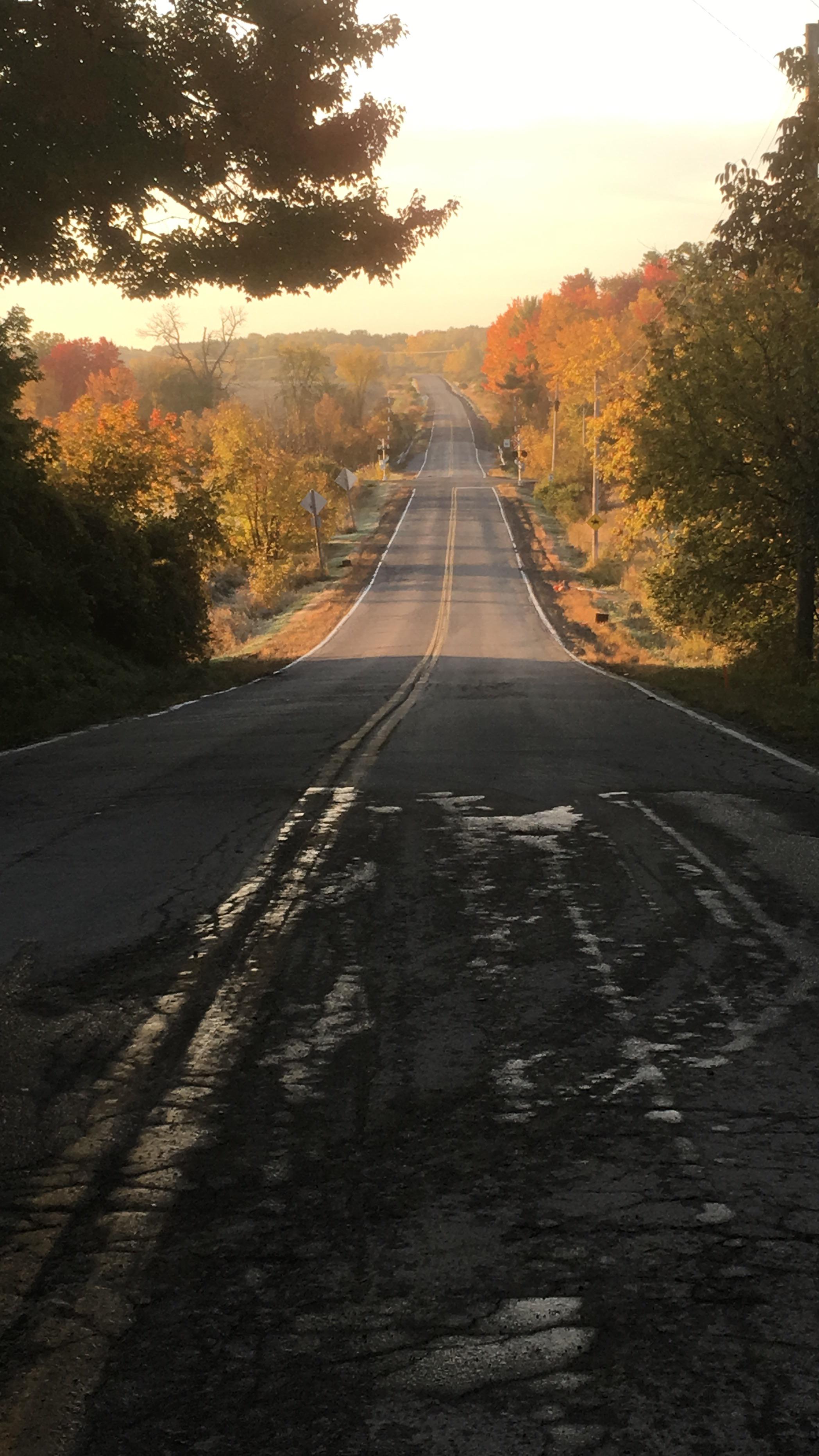Ramsayville on a Frosty Morning r/ottawa