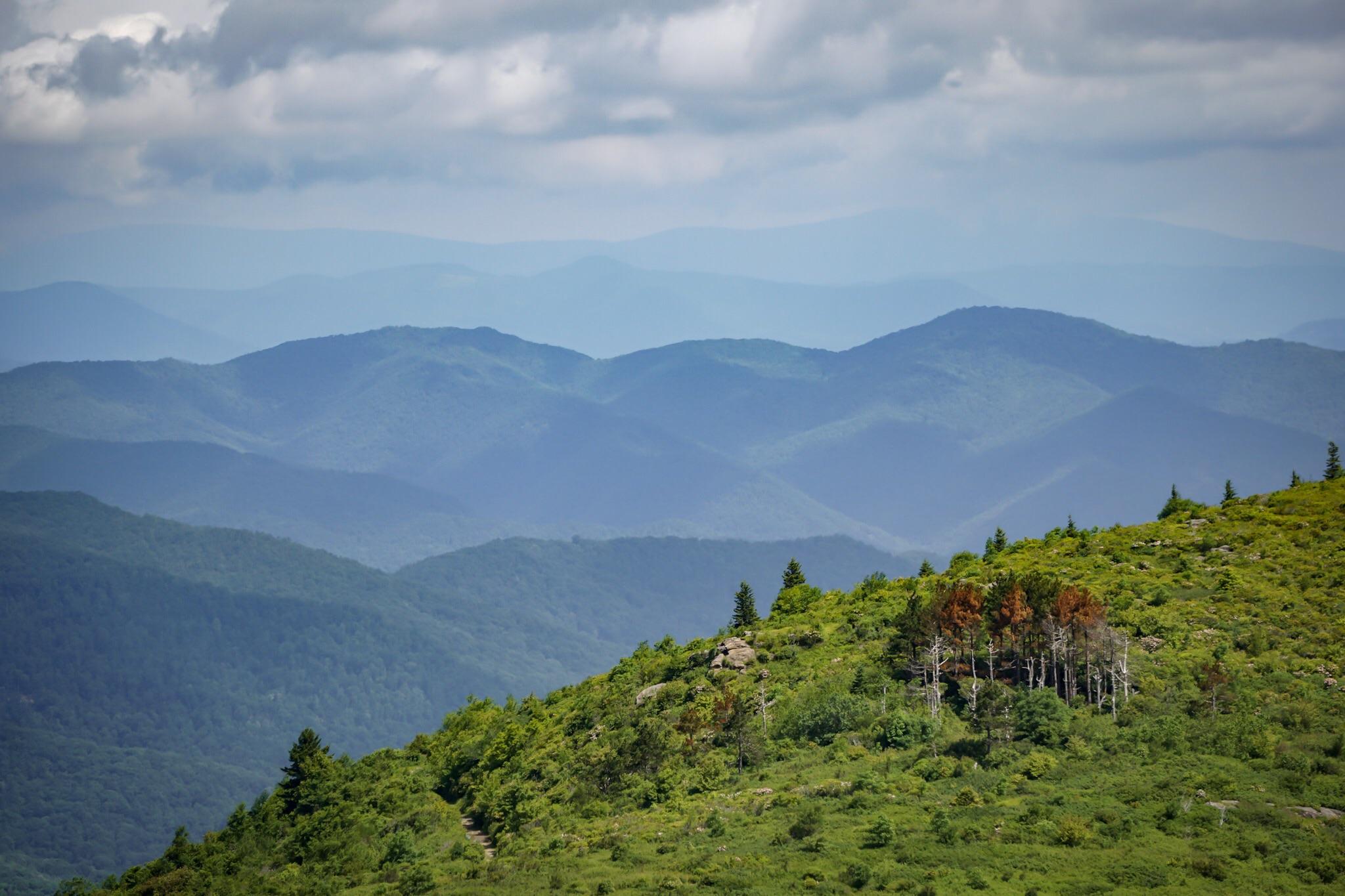 A view over Shining Rock Wilderness Area in North Carolina (OC